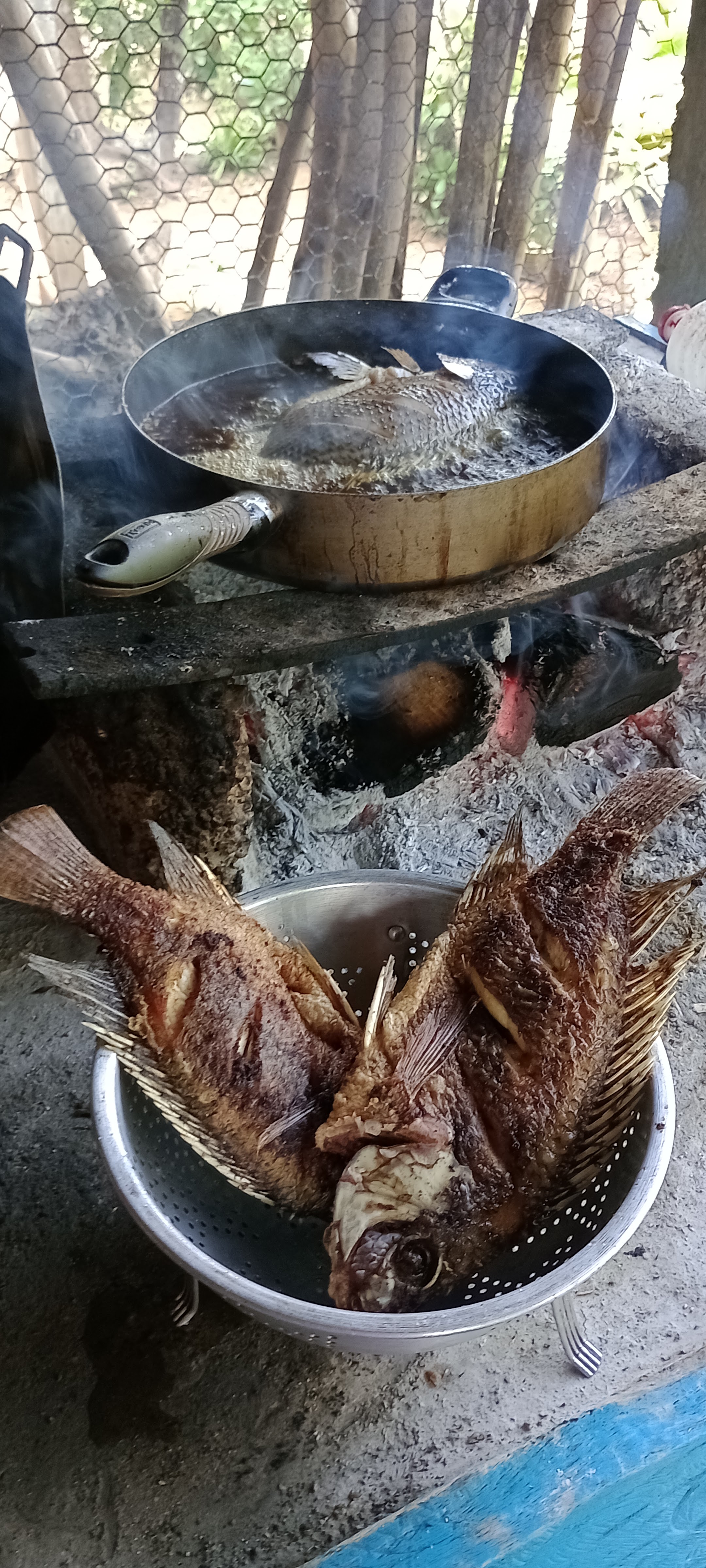 Mariscos y antojitos "EL AGUACATE" image 2