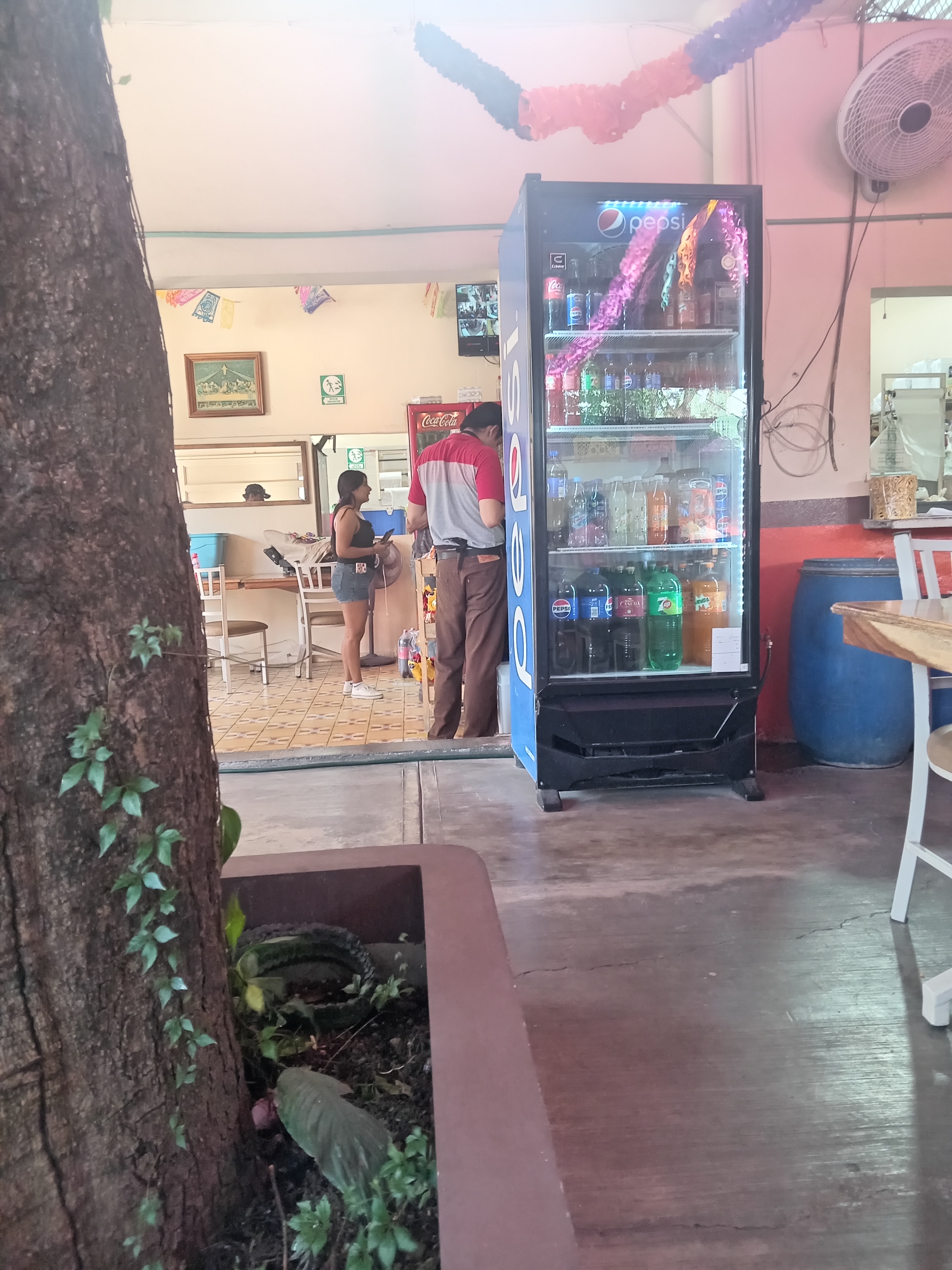 Pollos Guasave image 8