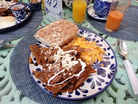 Las Golondrinas de Jalpa image 4