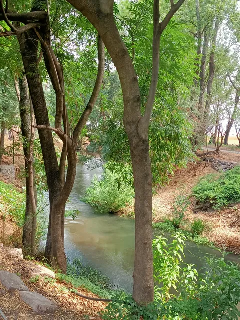 Las Golondrinas de Jalpa image 7