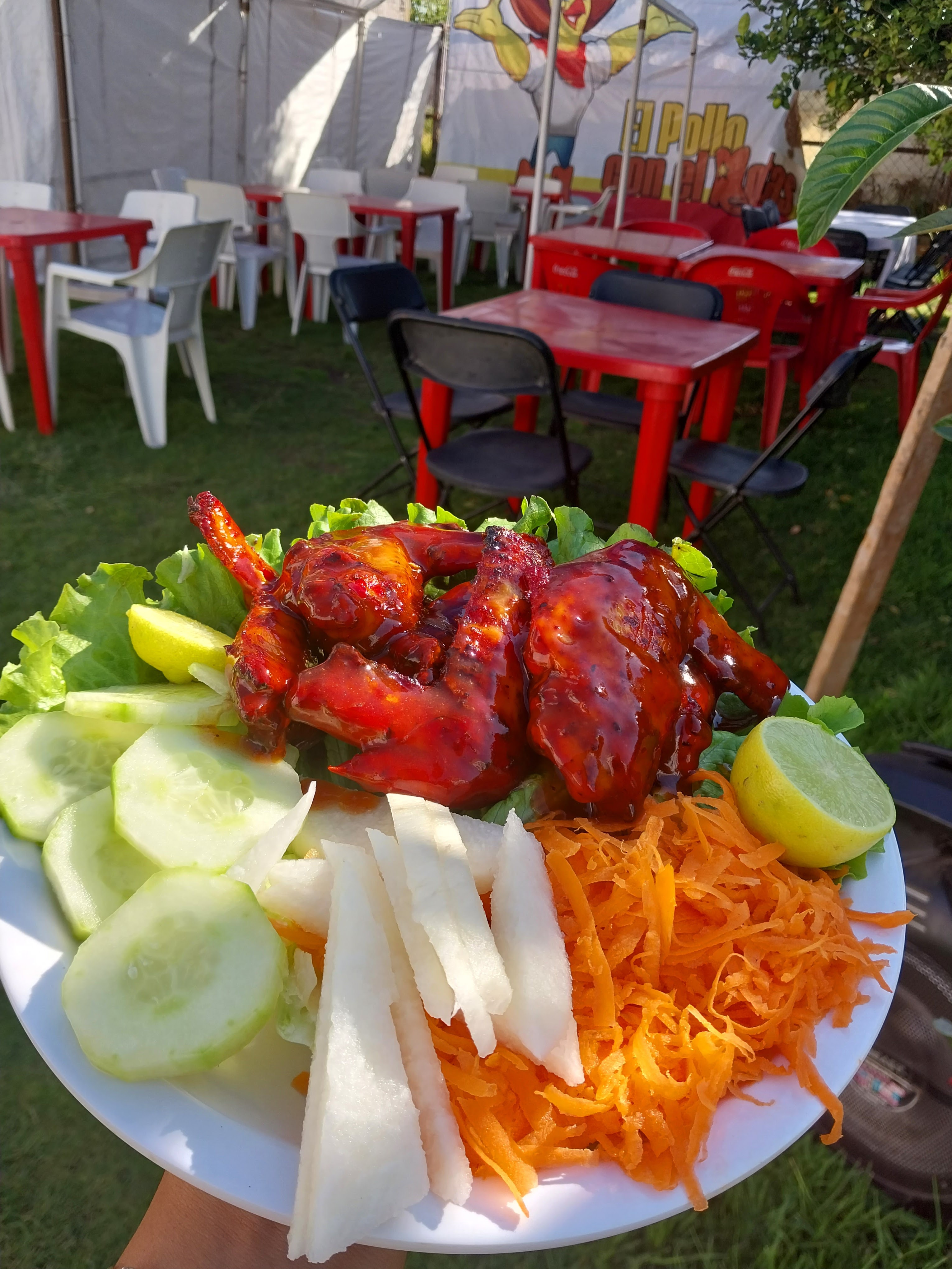 EL POLLO CON EL BOTAS image 4