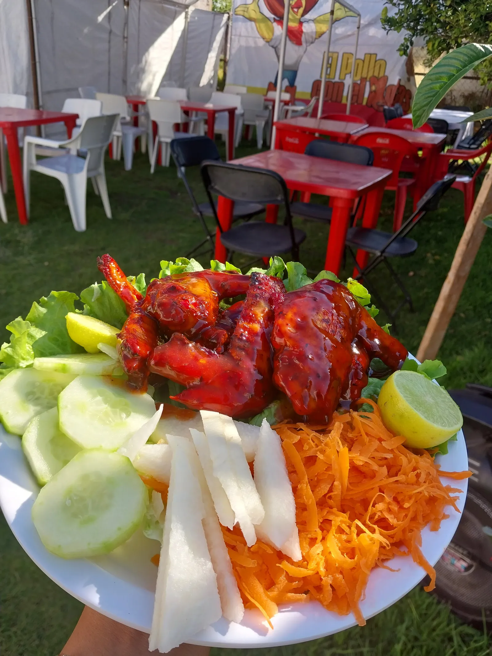 EL POLLO CON EL BOTAS image 4