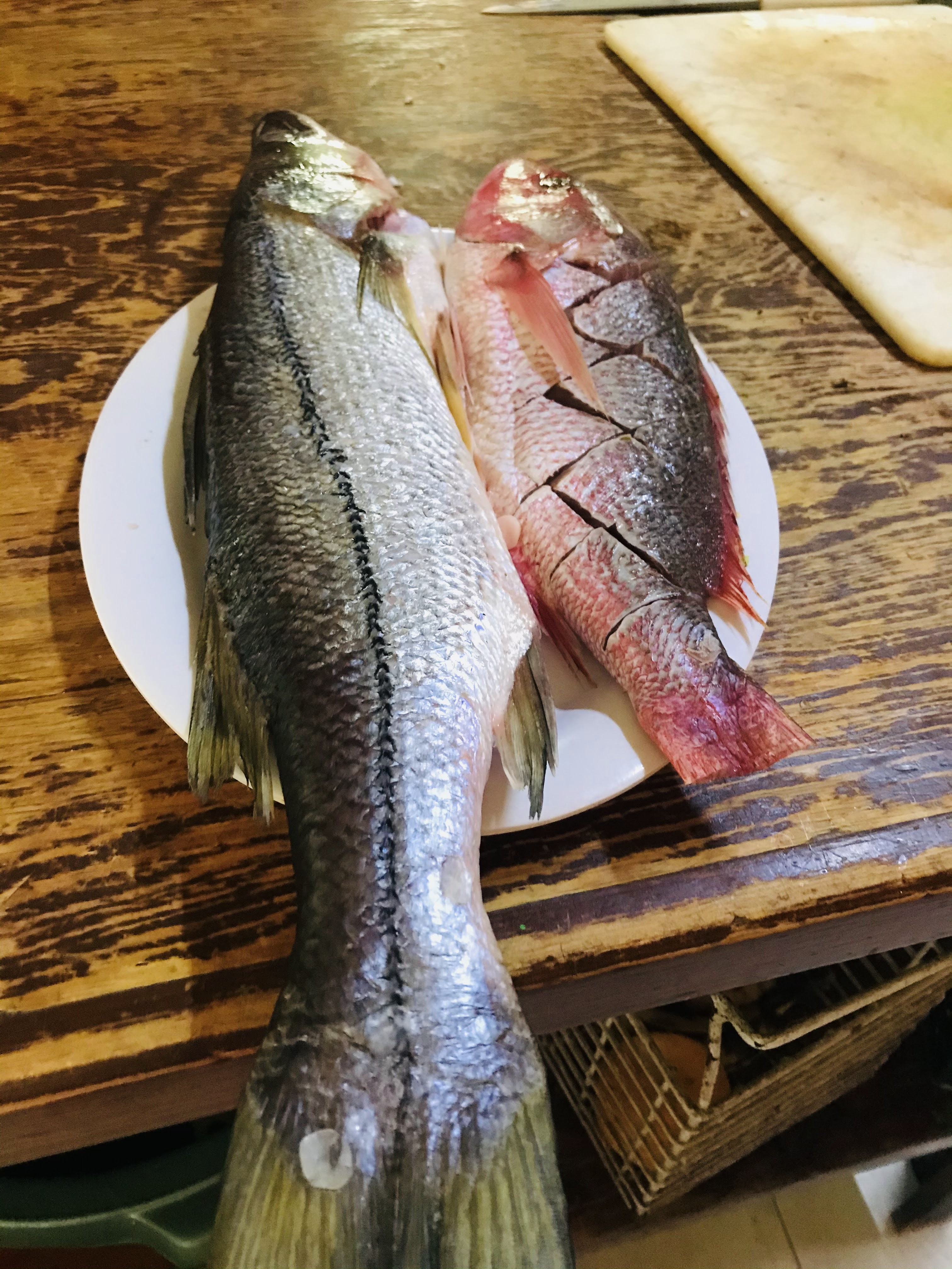 Marisquería Que Bello Es Veracruz Qro. image 5