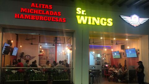 Sr. Wings image 1