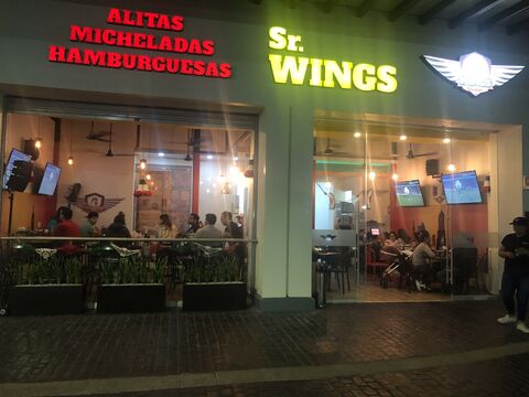 Sr. Wings image 3