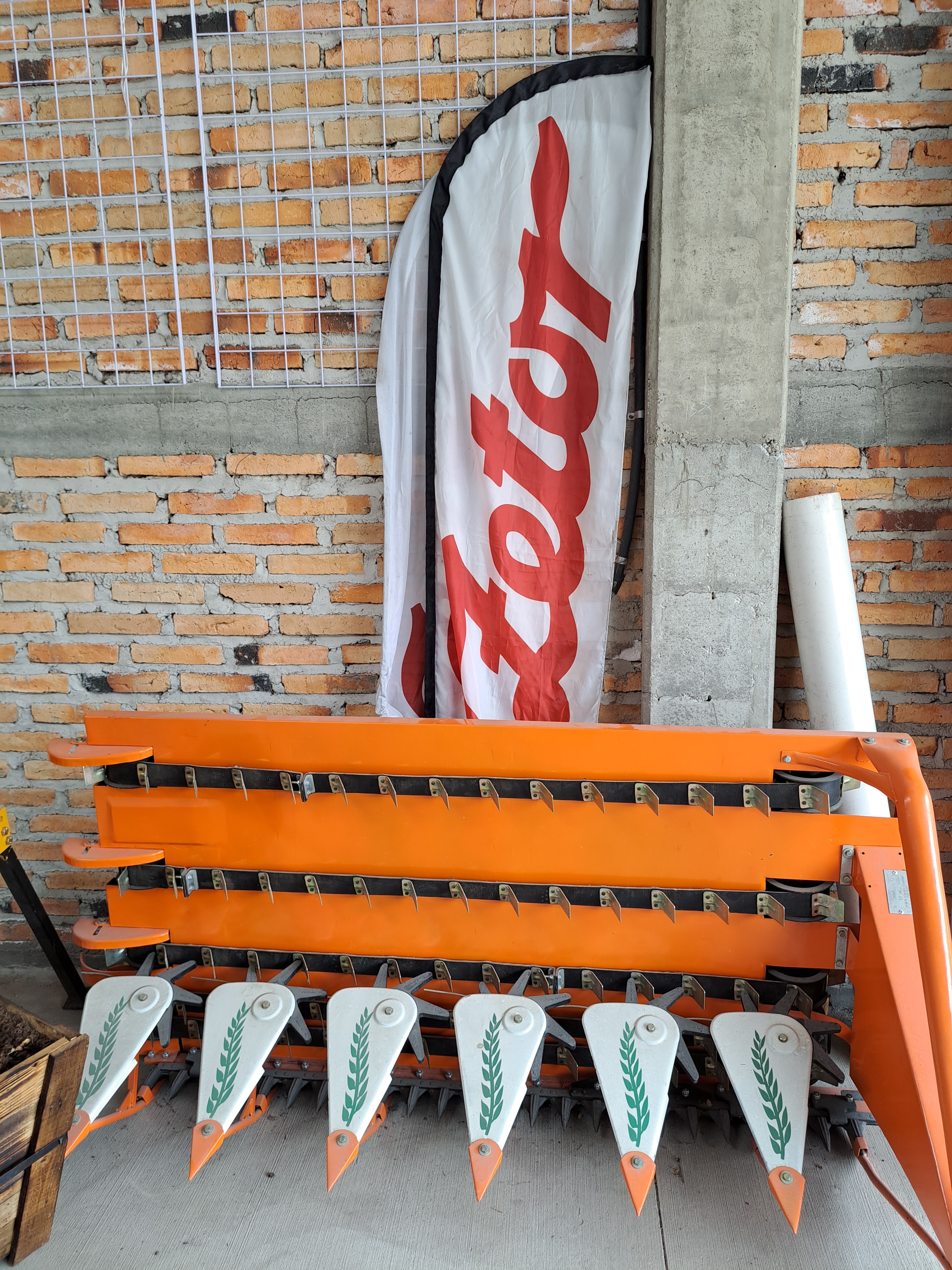 Buen taco Jalisco image 5