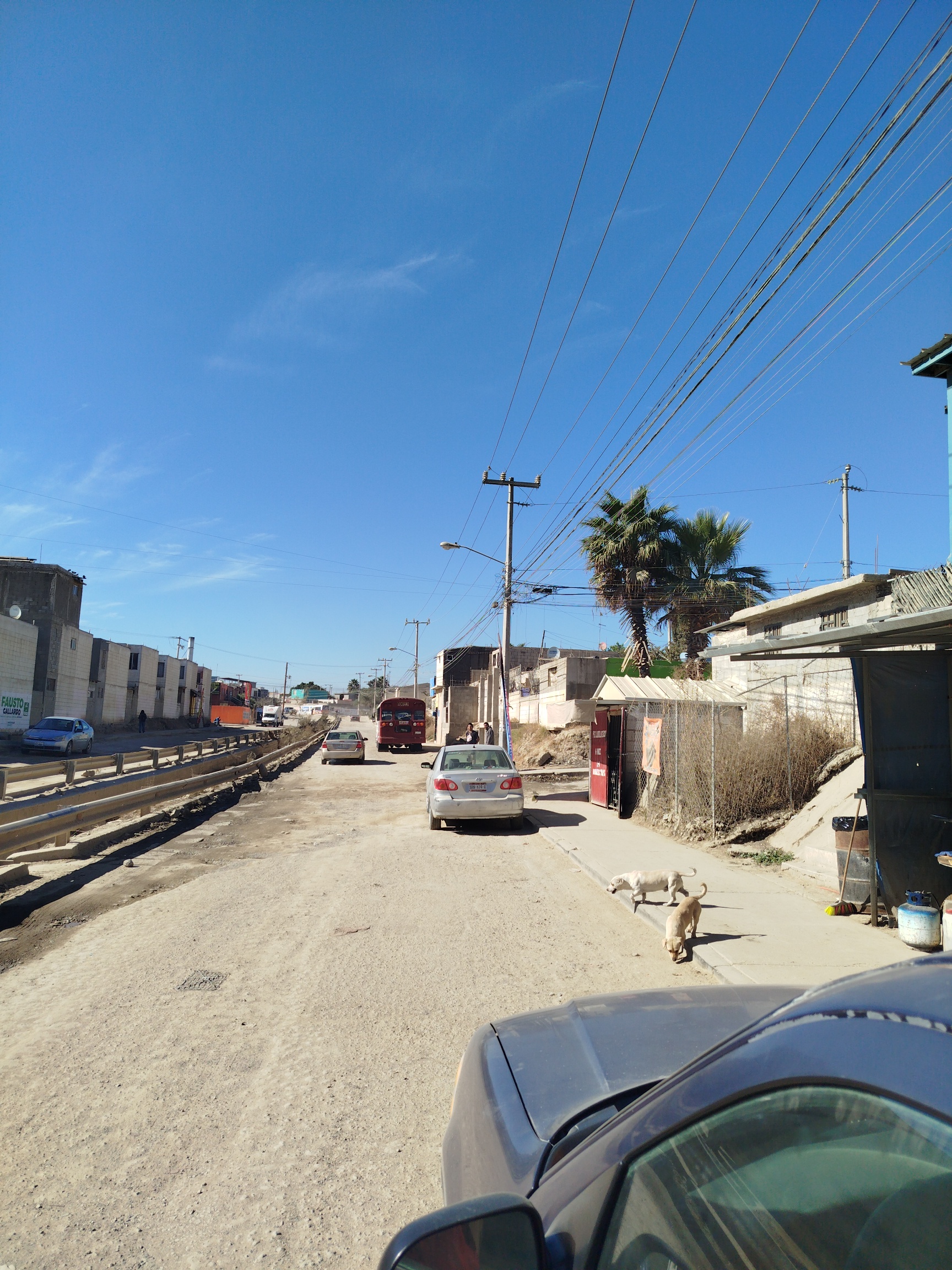 Birria el gordo image 3