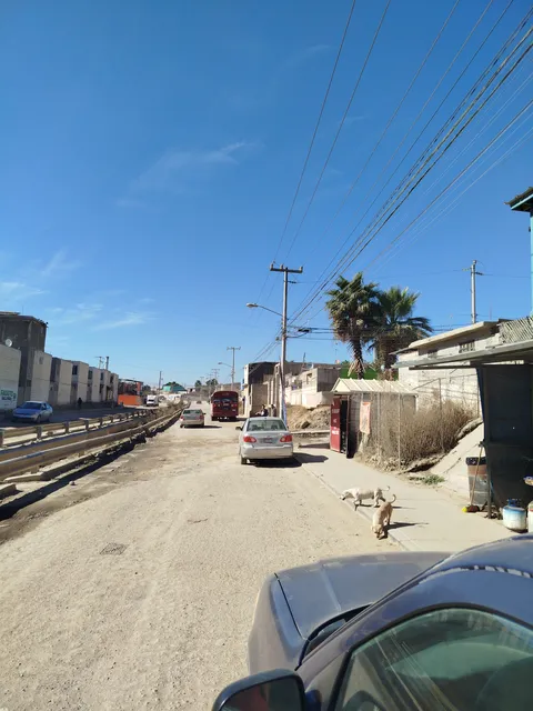 Birria el gordo image 3