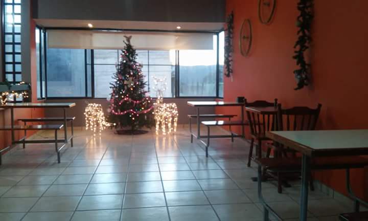 K'fes Looney image 5