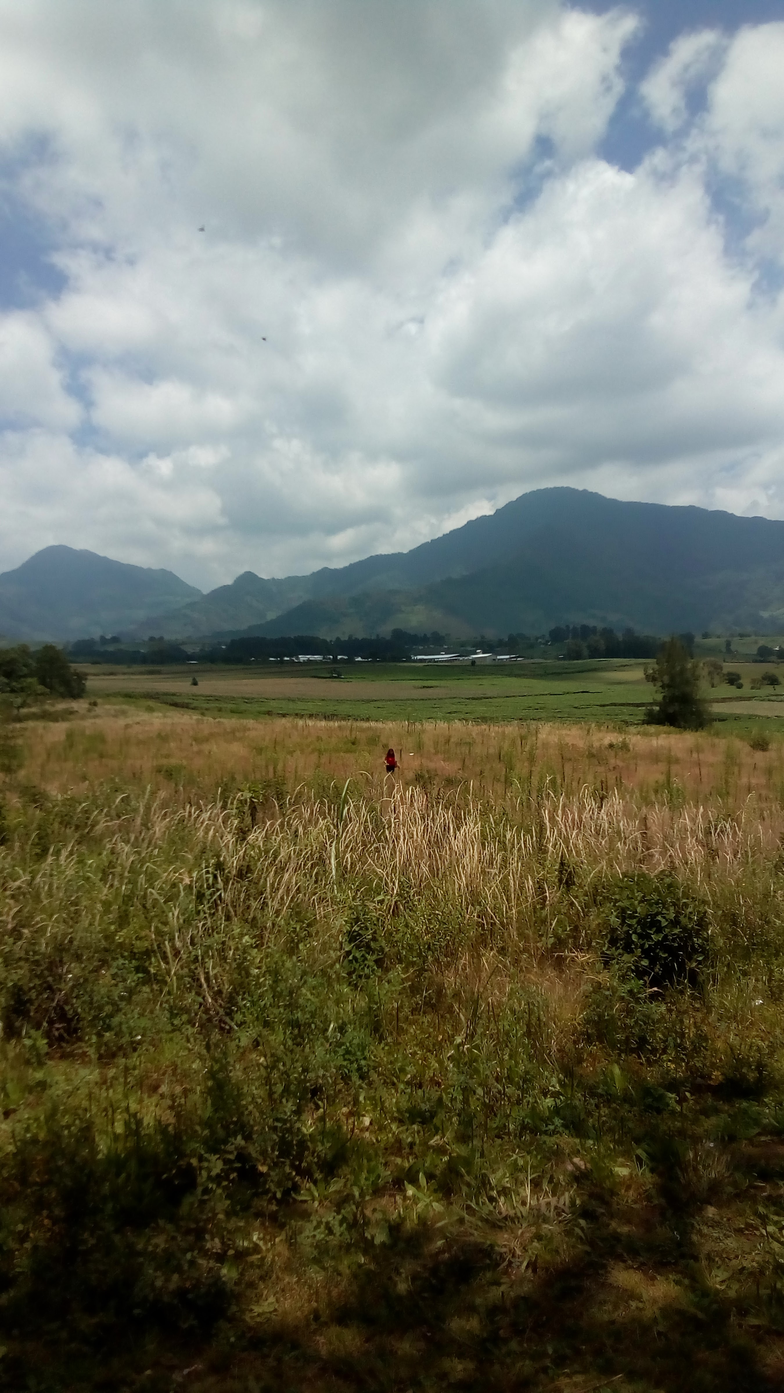 Mamá Mía Pízzeria image 4