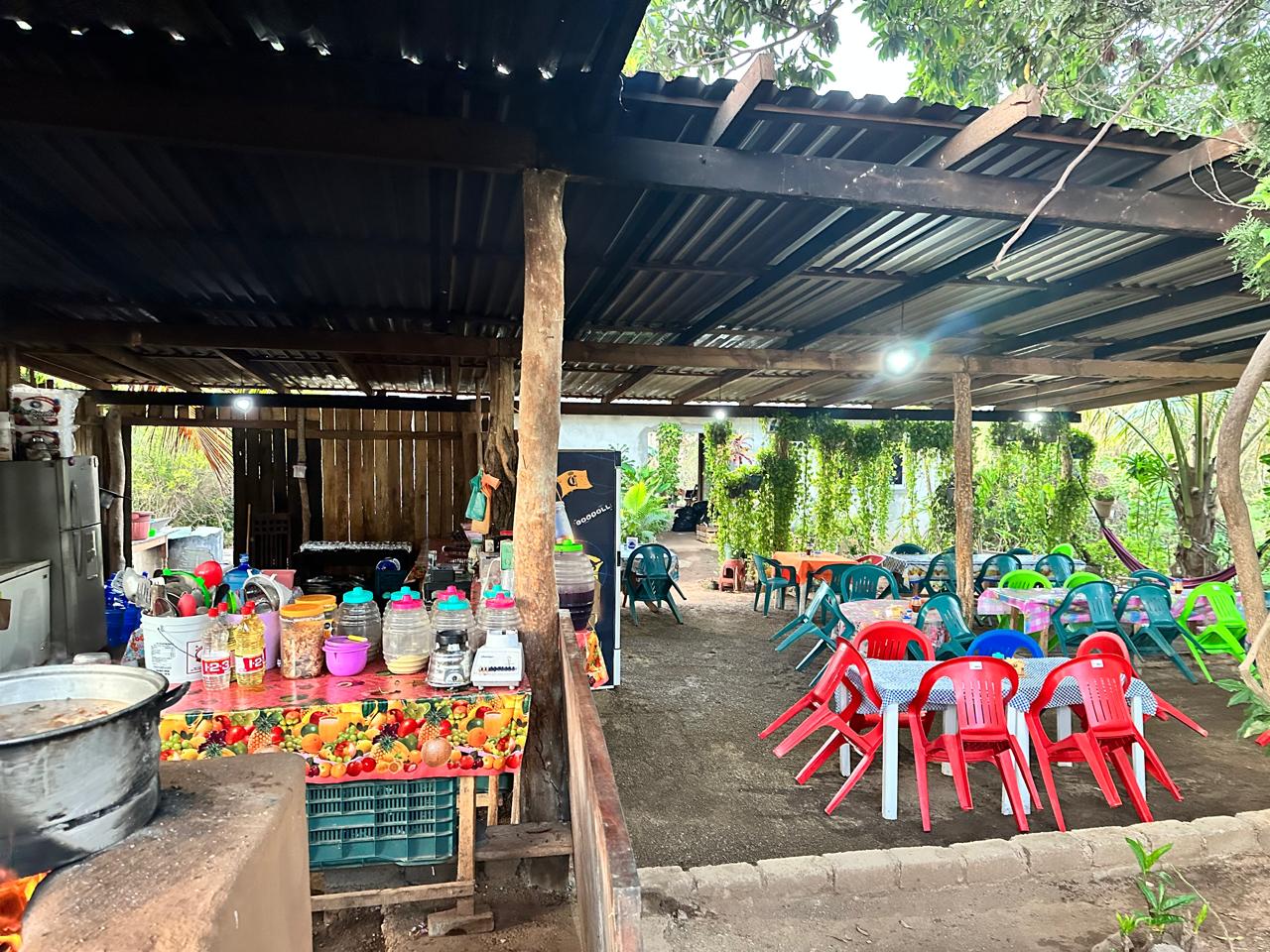 Fonda Olivia image 1