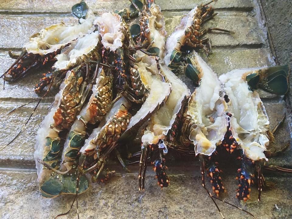 Fonda Olivia image 7