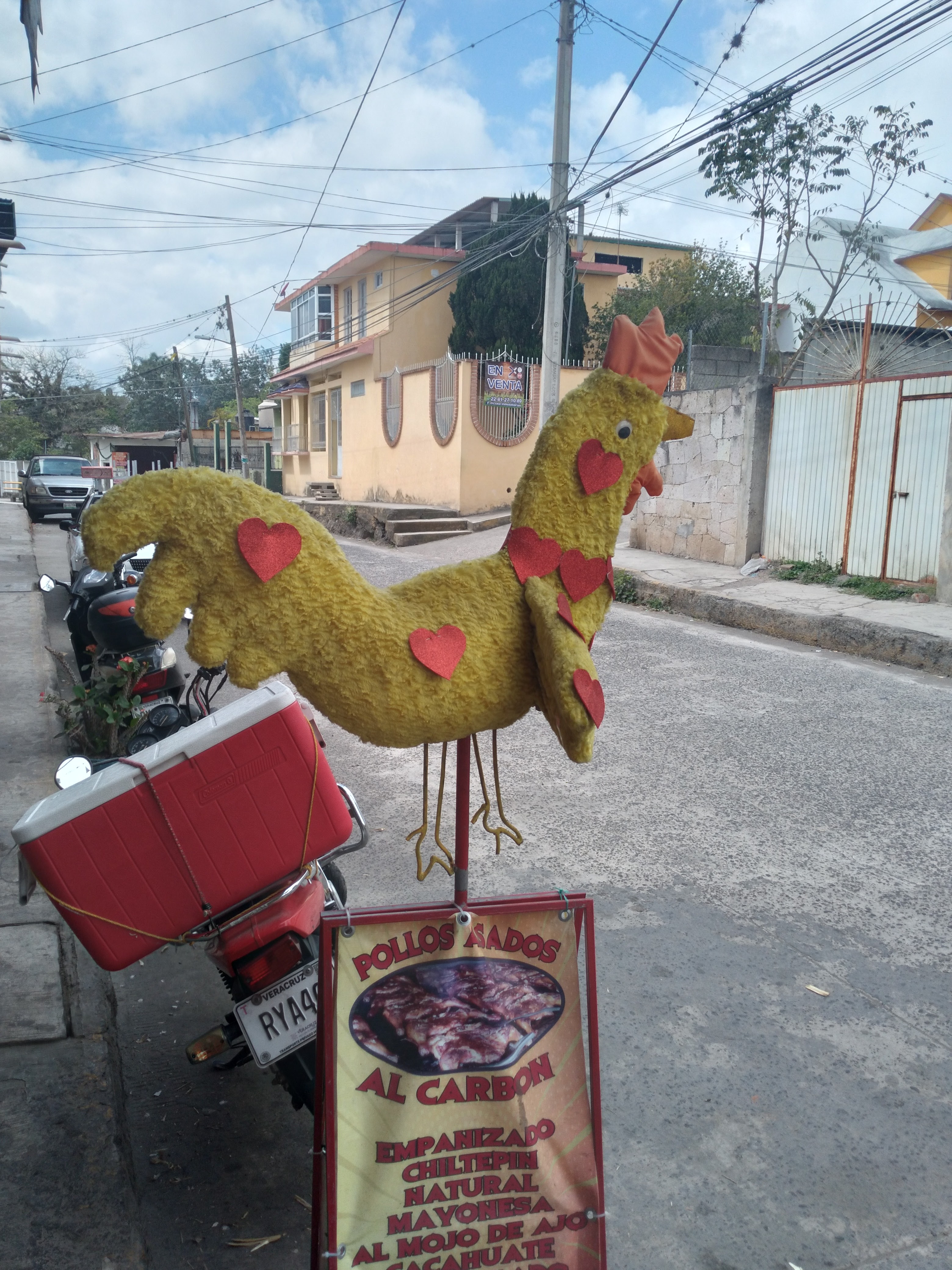 Pollitos en Fuga image 1