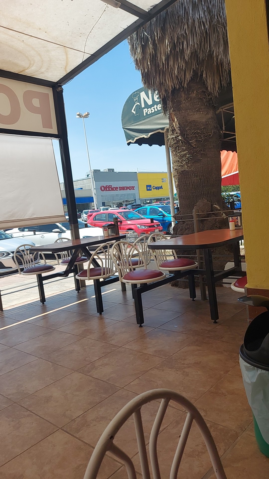 Restaurante Pollo Feliz Silao image 4