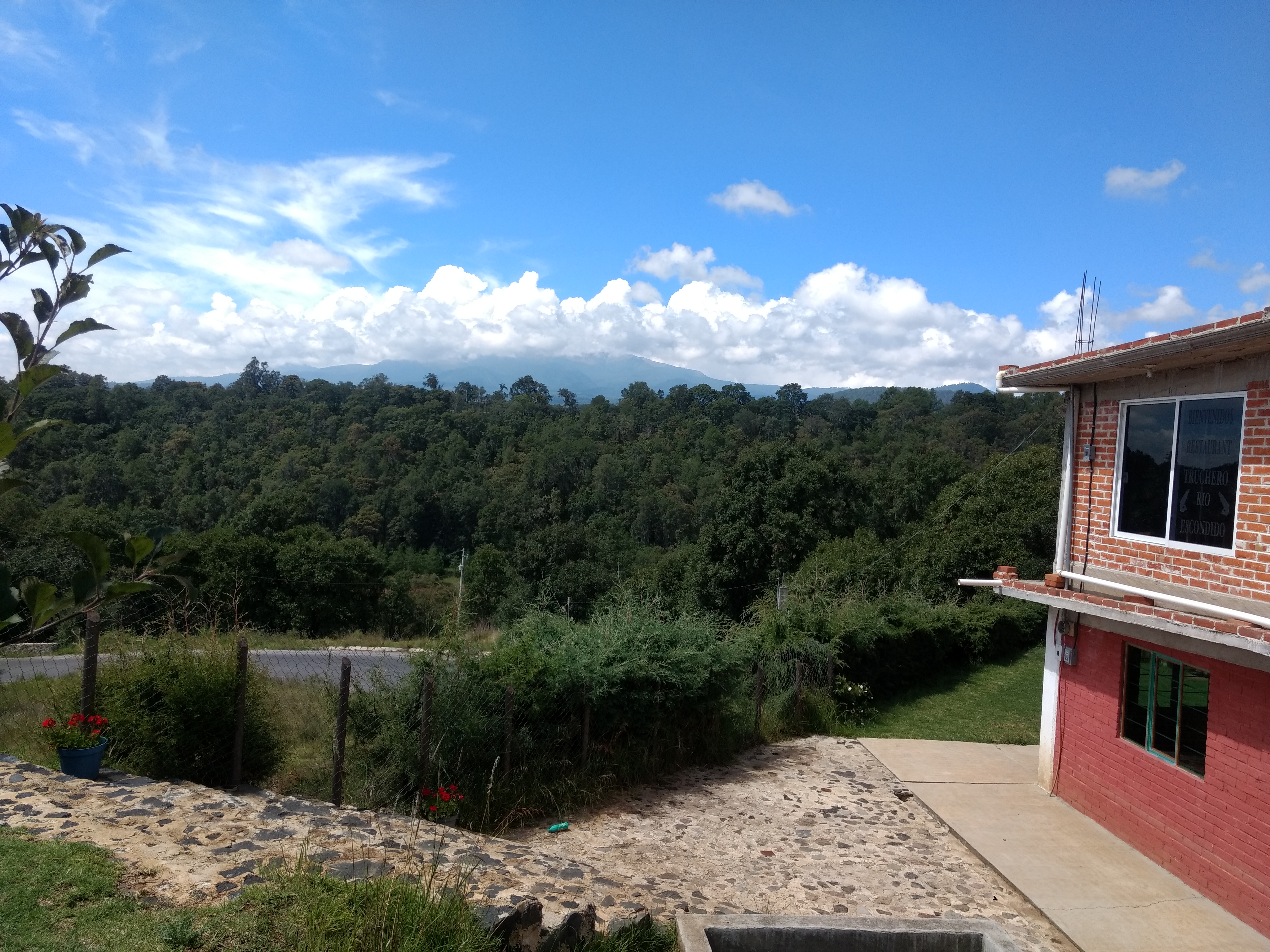 Truchas El Sabor De Mi Pueblo image 6