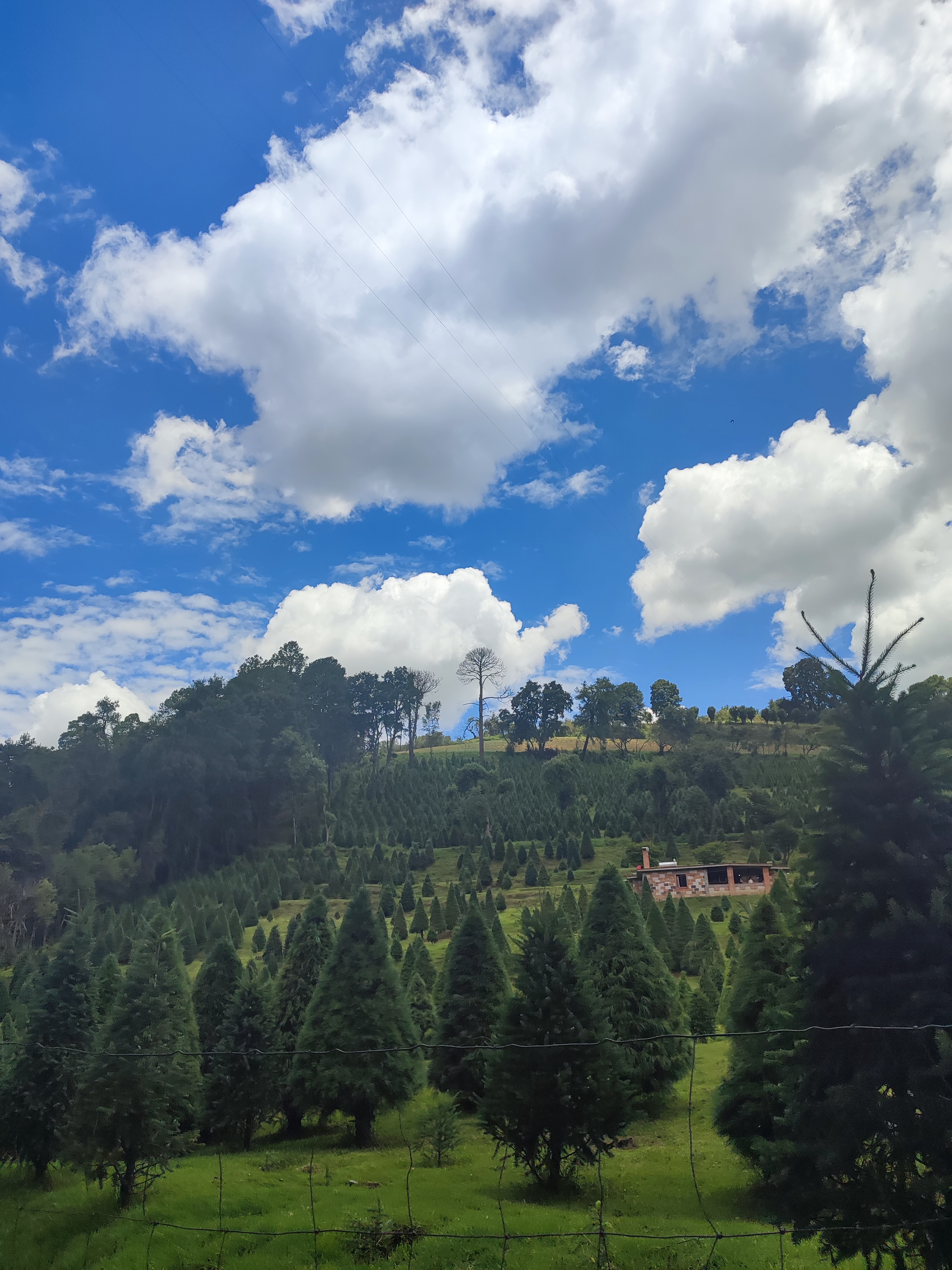 La Choza de los pequeñines image 3