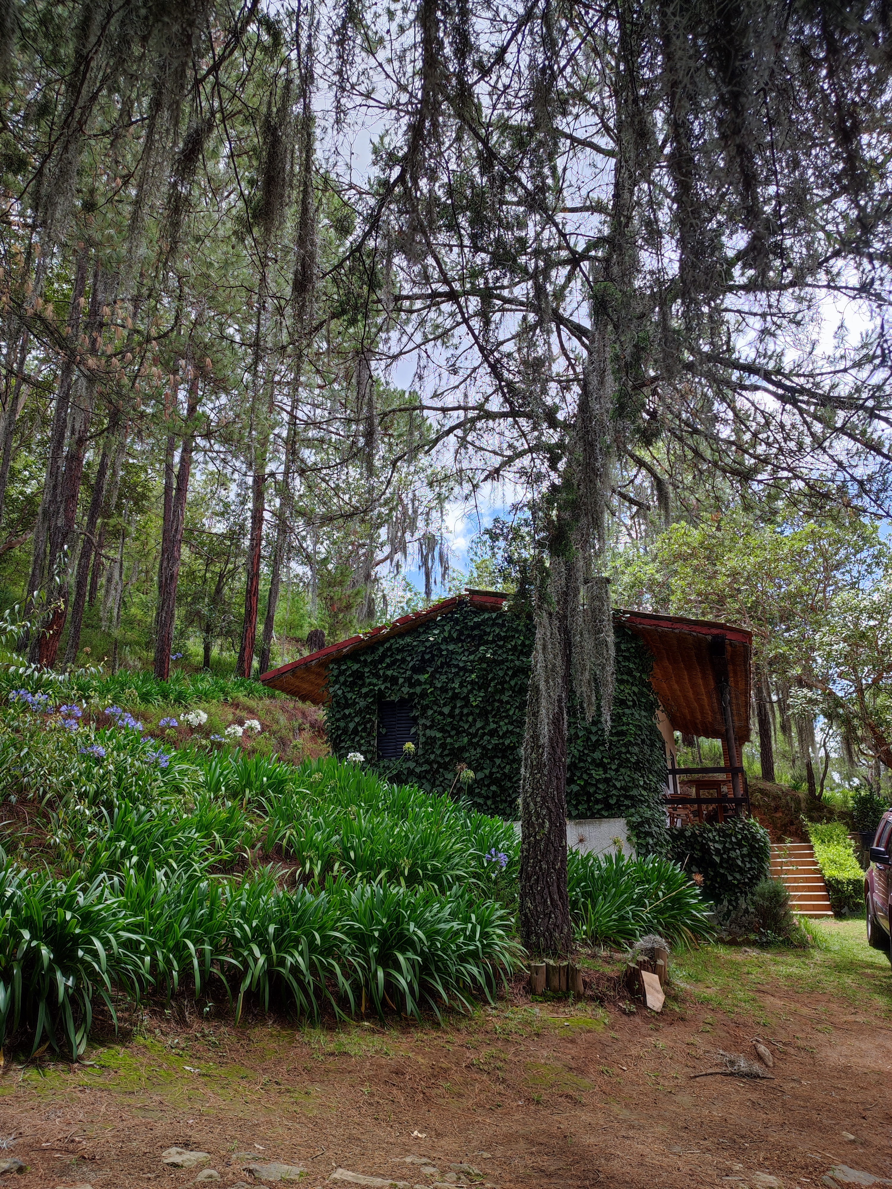 La Choza de los pequeñines image 5