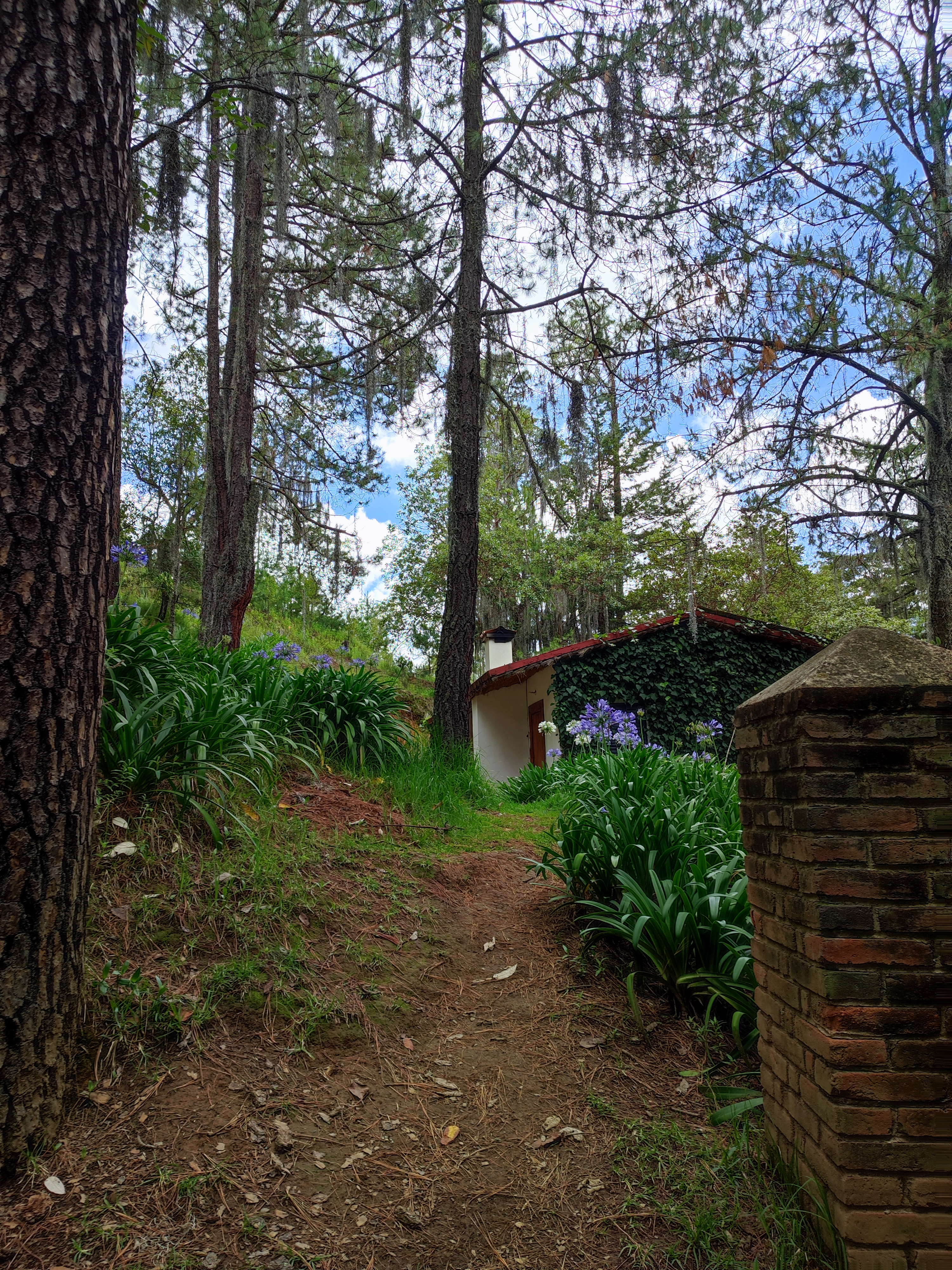 La Choza de los pequeñines image 10