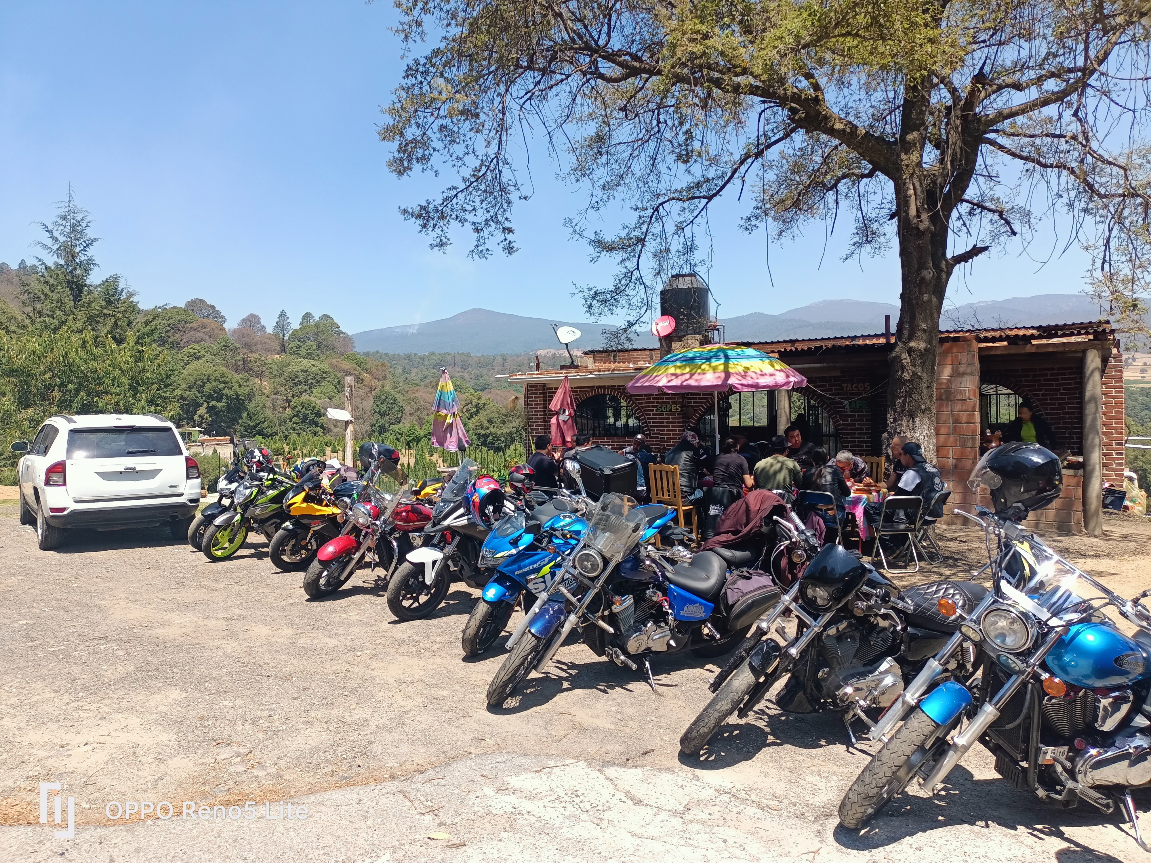 Barbacoa los pinos image 4