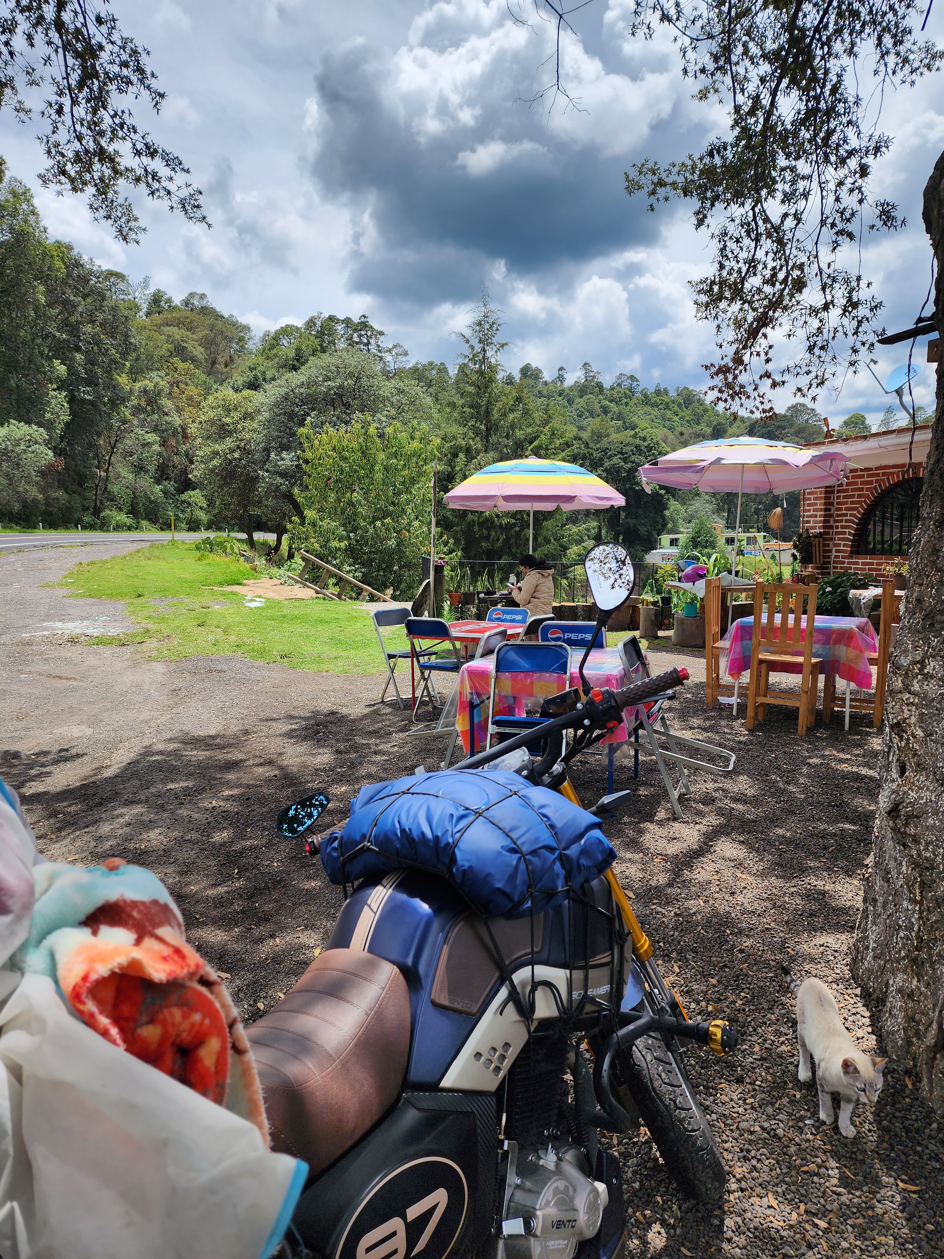 Barbacoa los pinos image 10