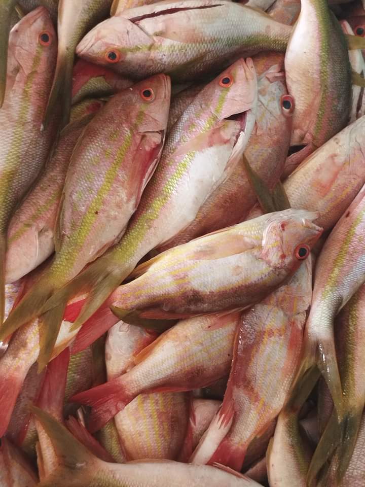 Marisqueria las jarochitas image 4