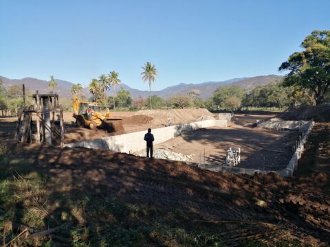 La Brava image 7