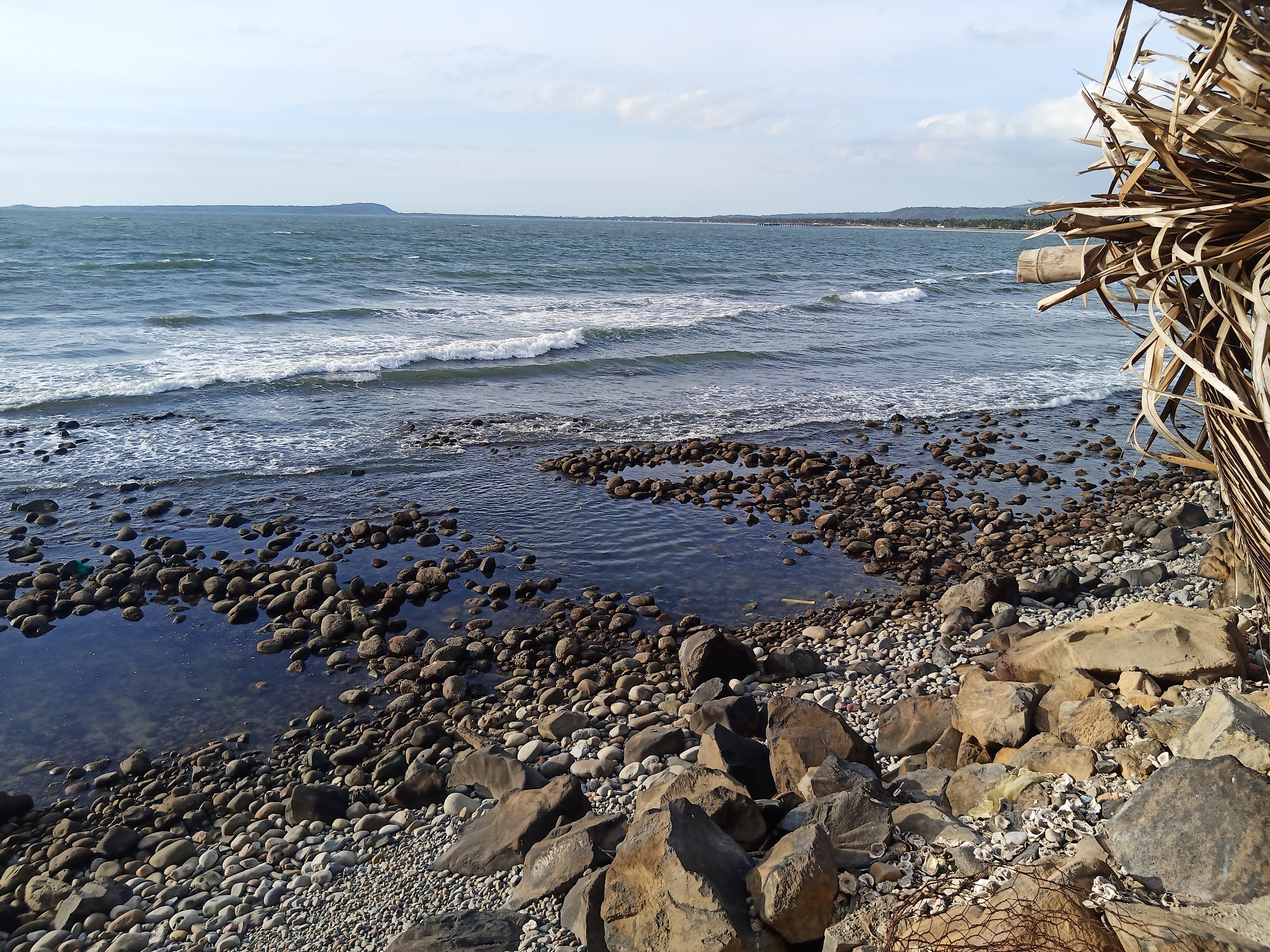 Mi panguita seafood image 6