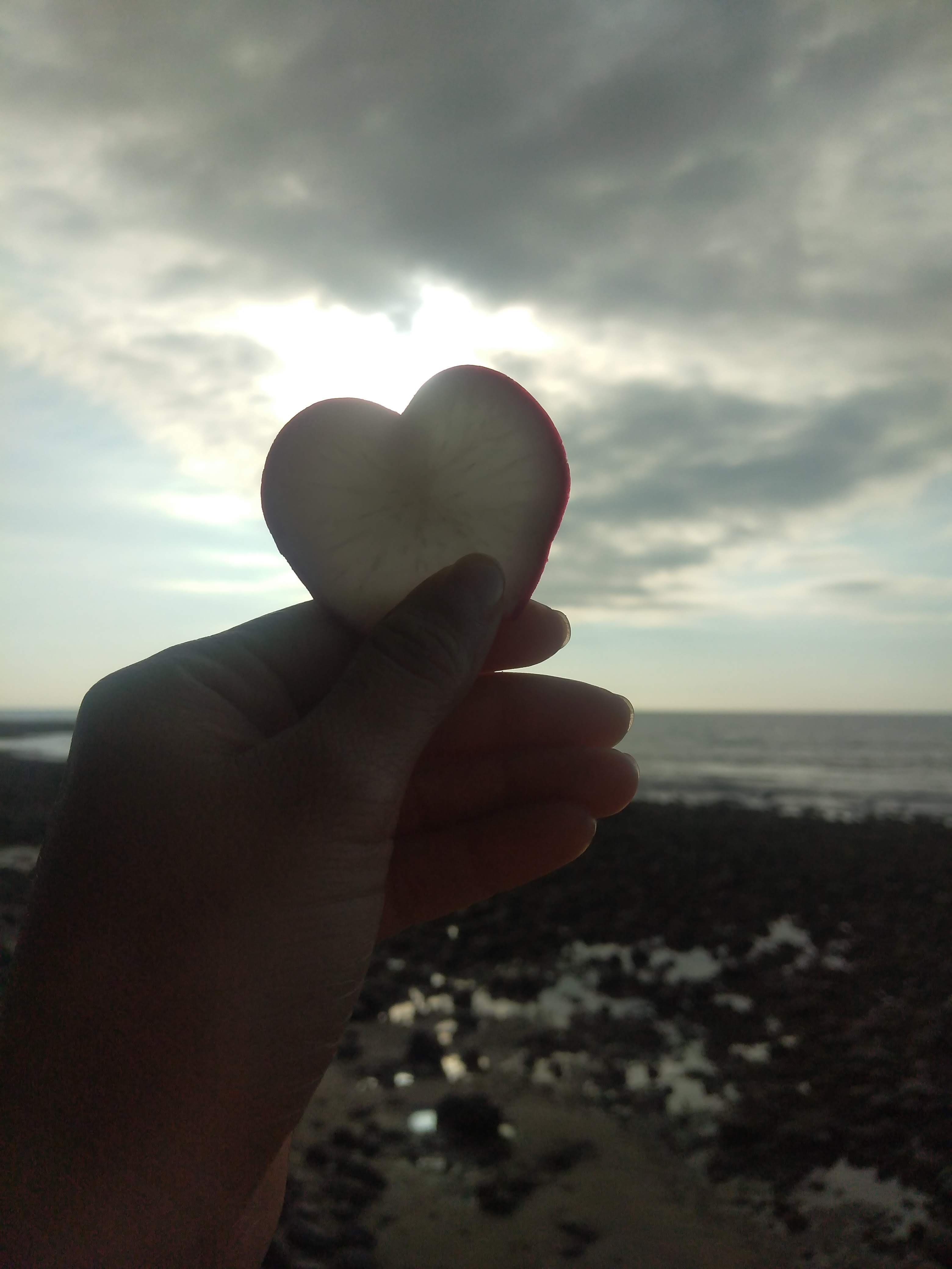 Restaurant JUANITOS image 5