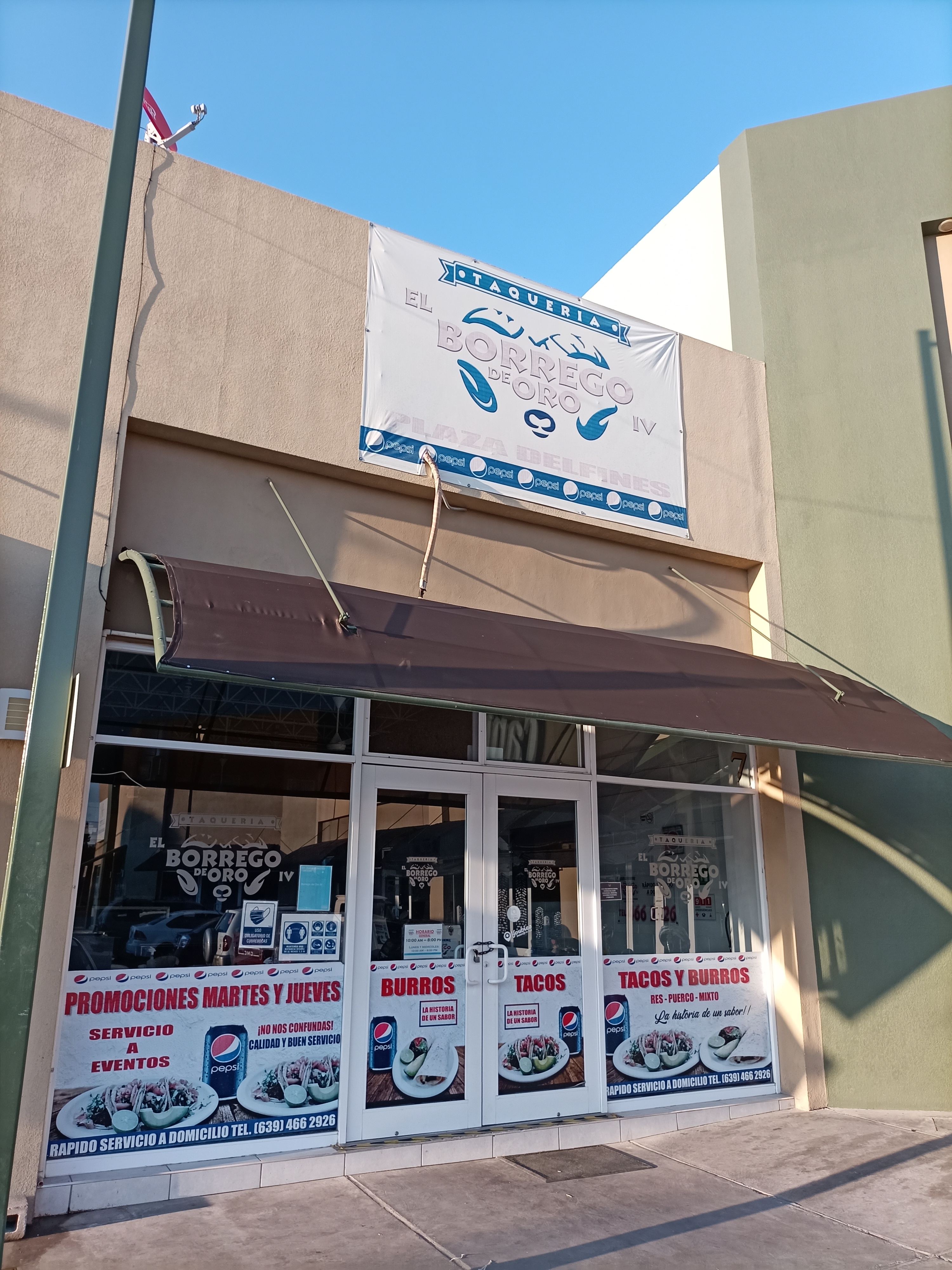 El Borrego de Oro. Plaza Delfines image 1