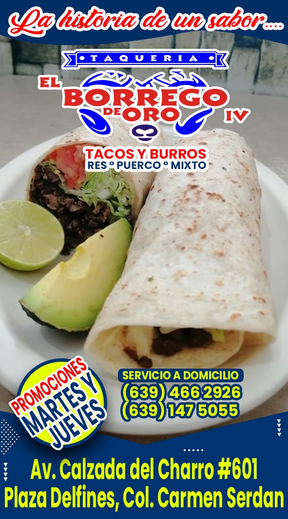 El Borrego de Oro. Plaza Delfines image 2