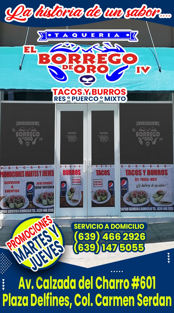 El Borrego de Oro. Plaza Delfines image 8