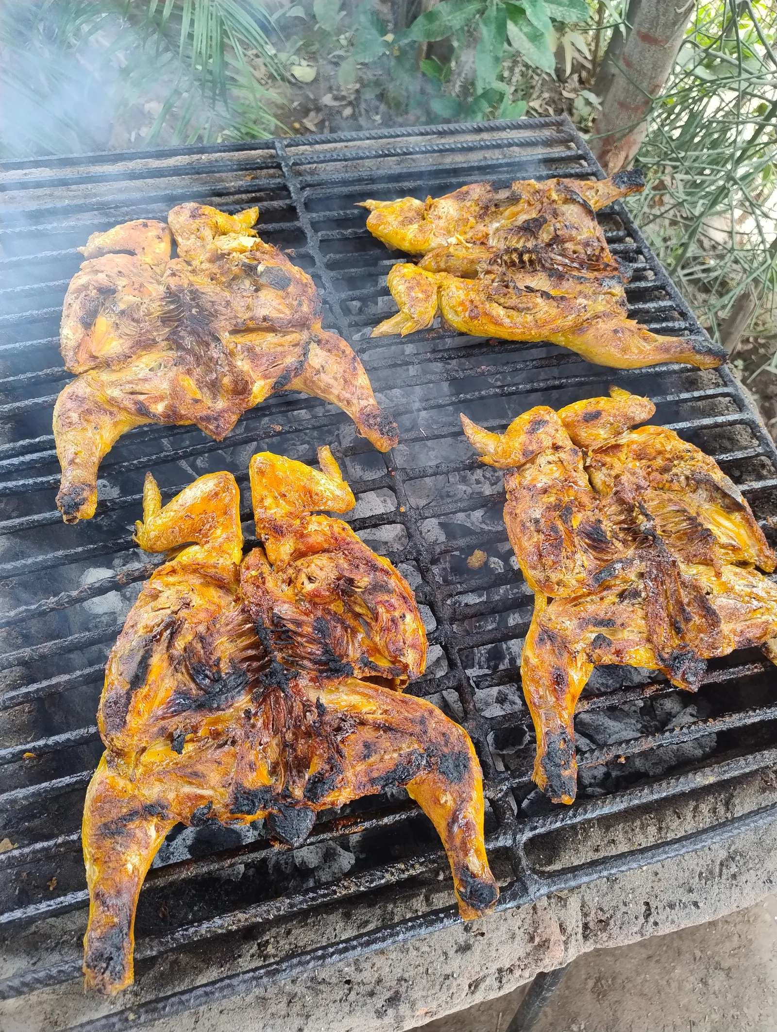 Pollos Asados El Lirio image 5