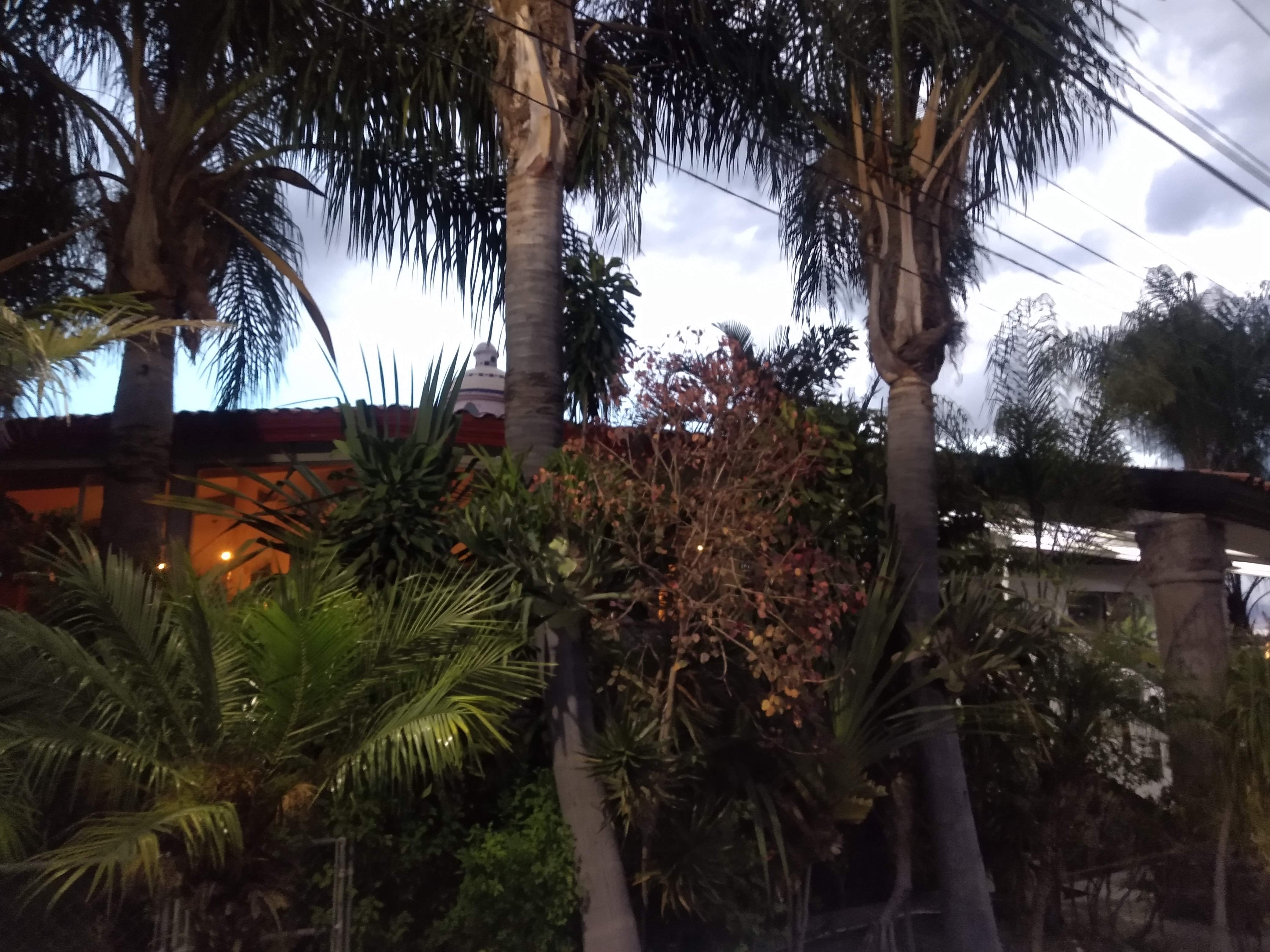 Mariscos Juquila Atlixco image 10