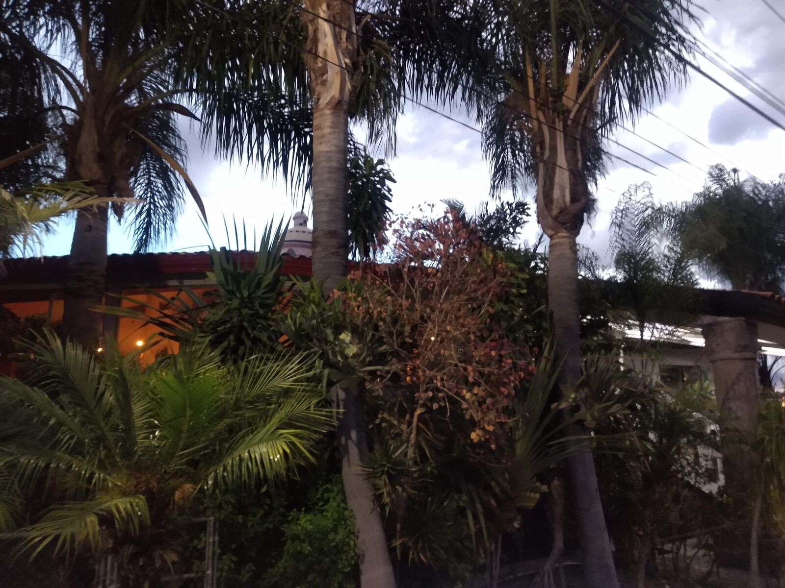 Mariscos Juquila Atlixco image 10