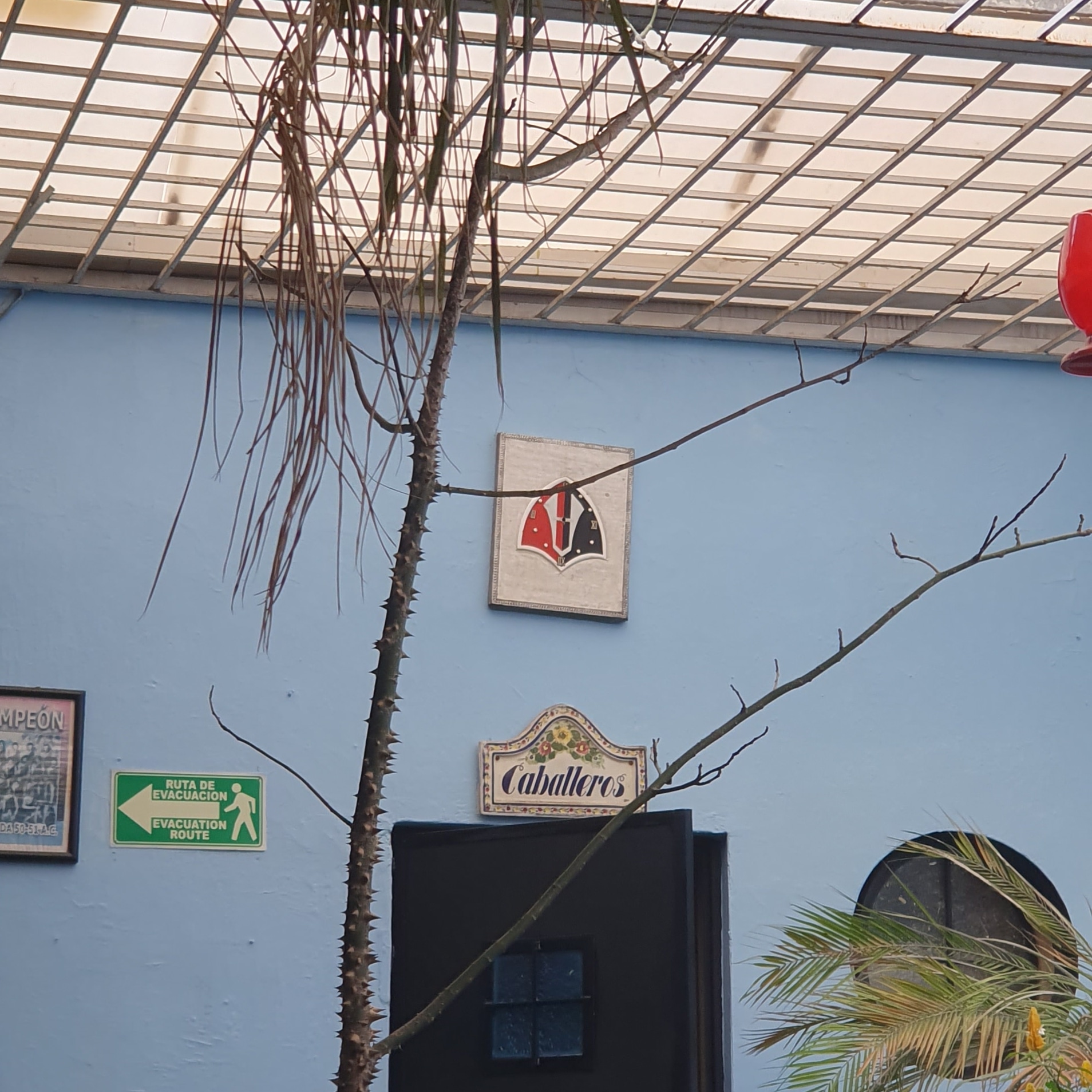 GURROLA Restaurant Bar ESTADIO image 8