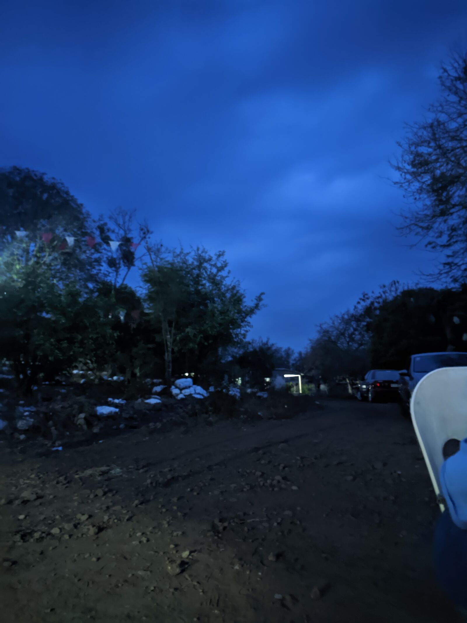 Los Tamarindos image 1