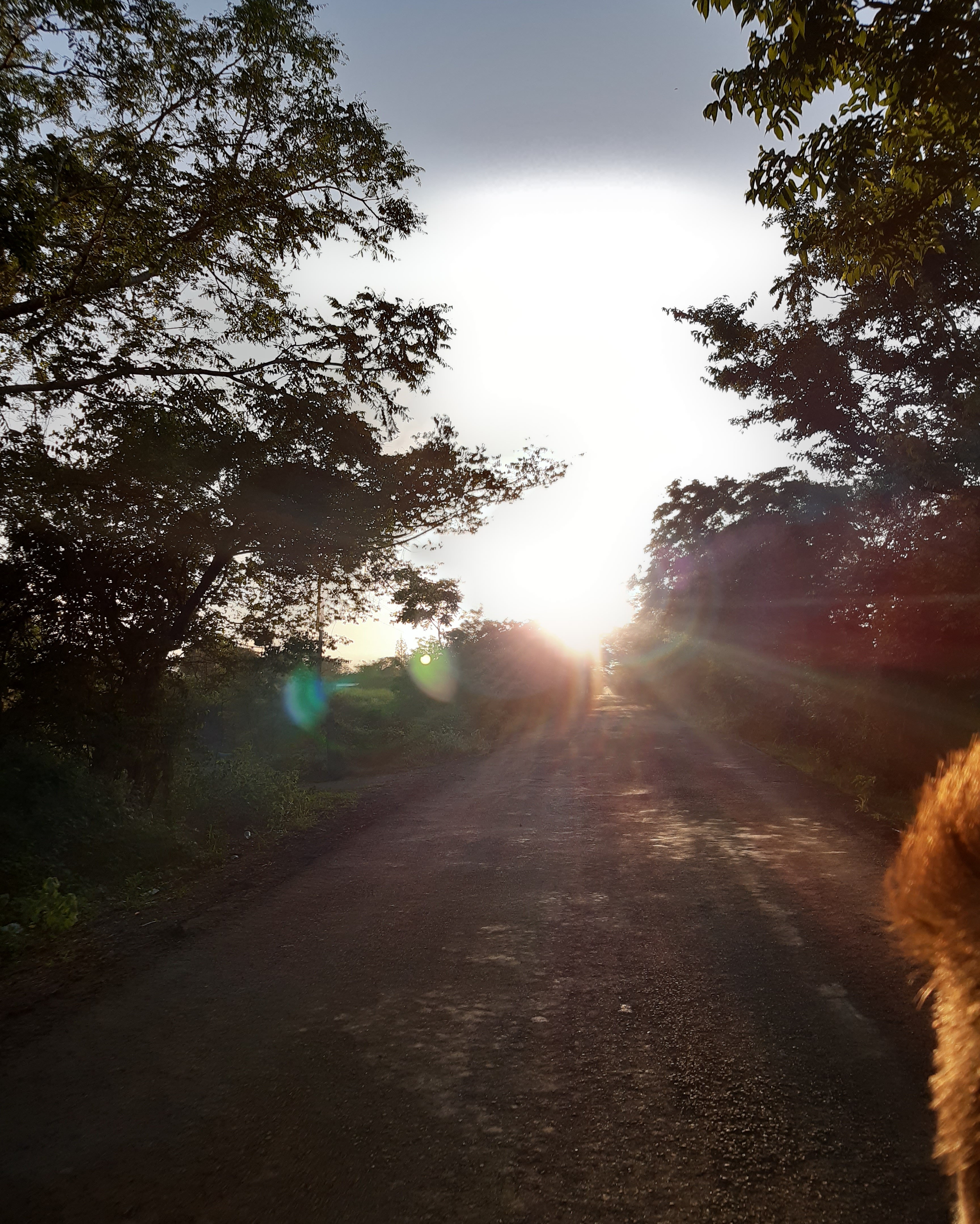 Los Tamarindos image 2