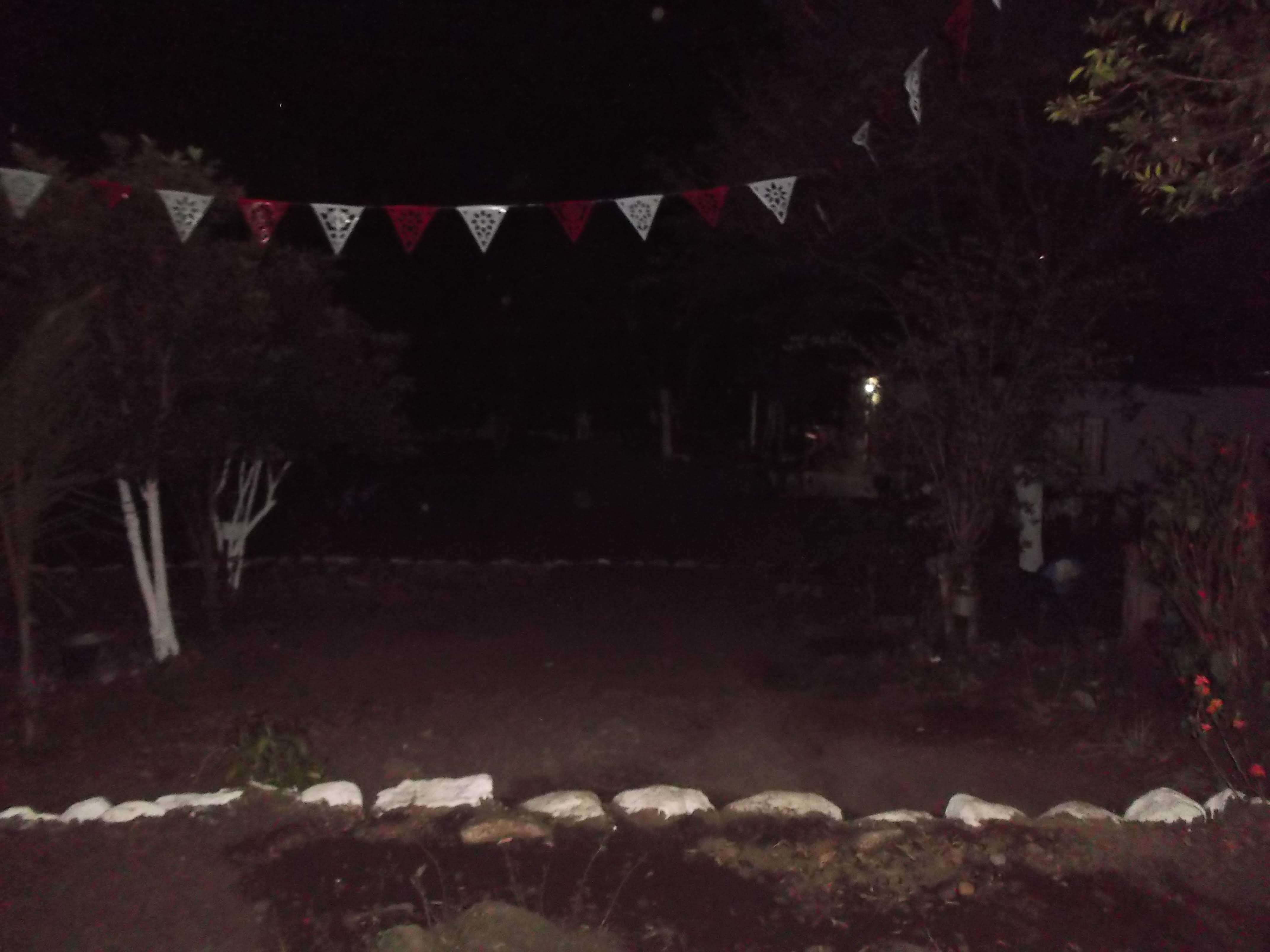 Los Tamarindos image 3