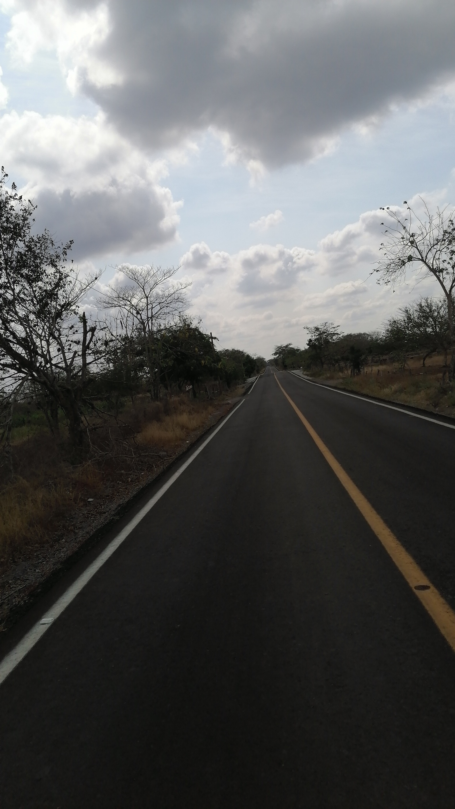 Los Tamarindos image 4