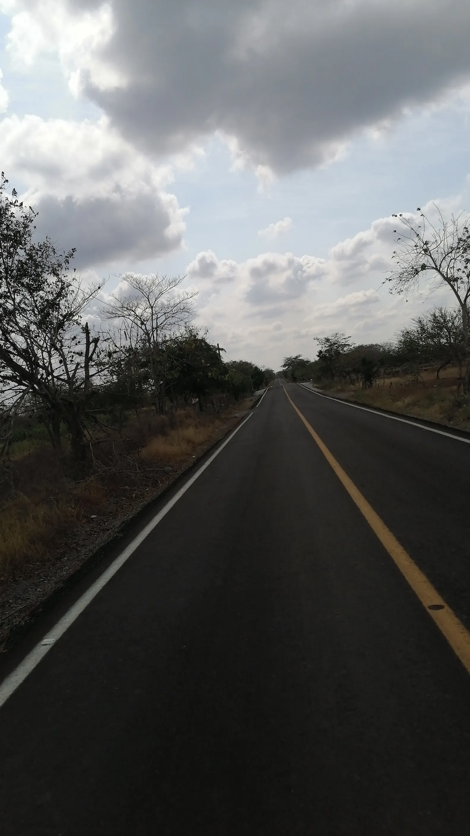 Los Tamarindos image 4