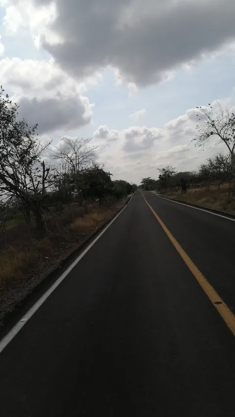 Los Tamarindos image 4