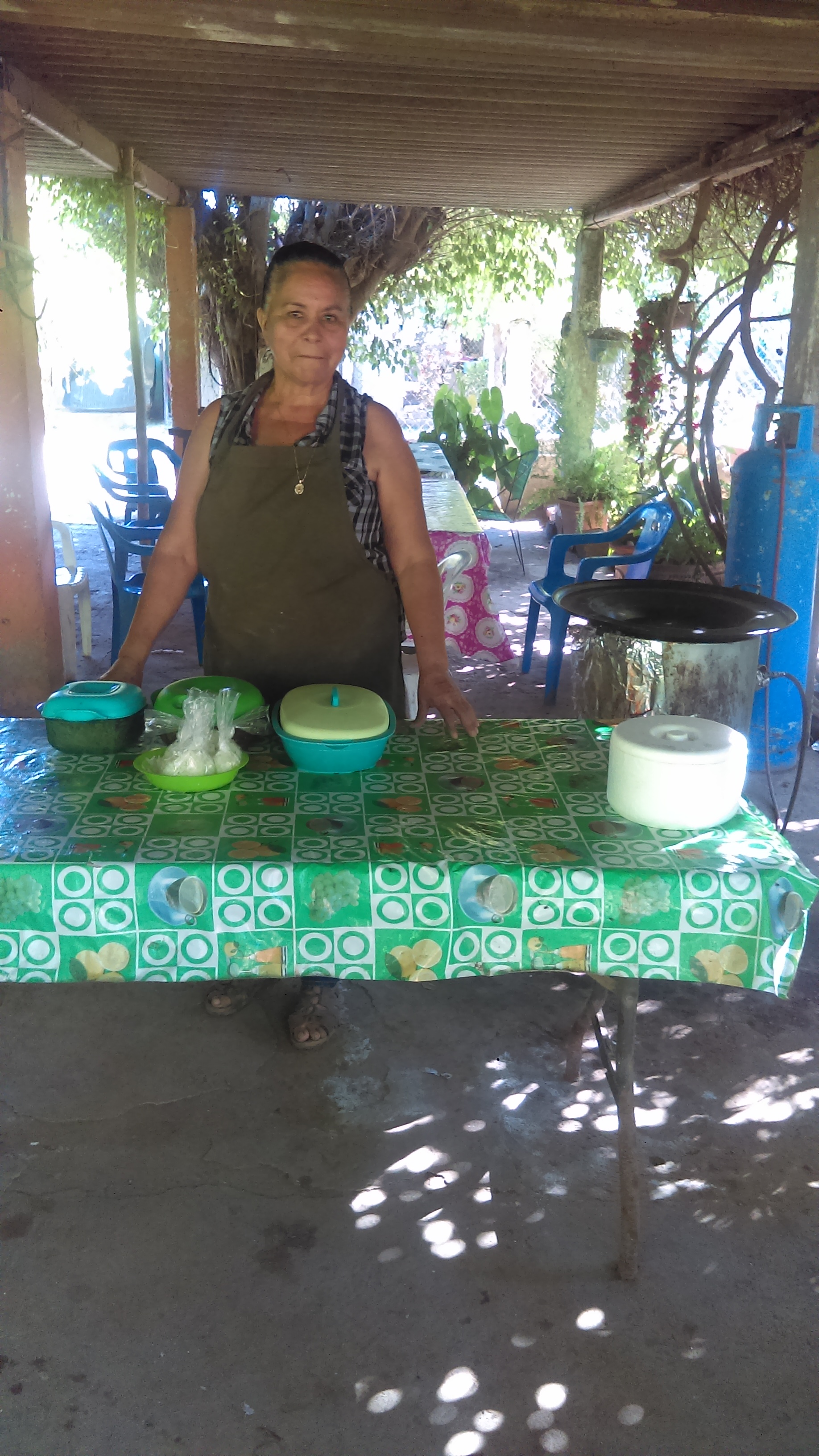 Antojitos Mexicanos "La Akito" image 2