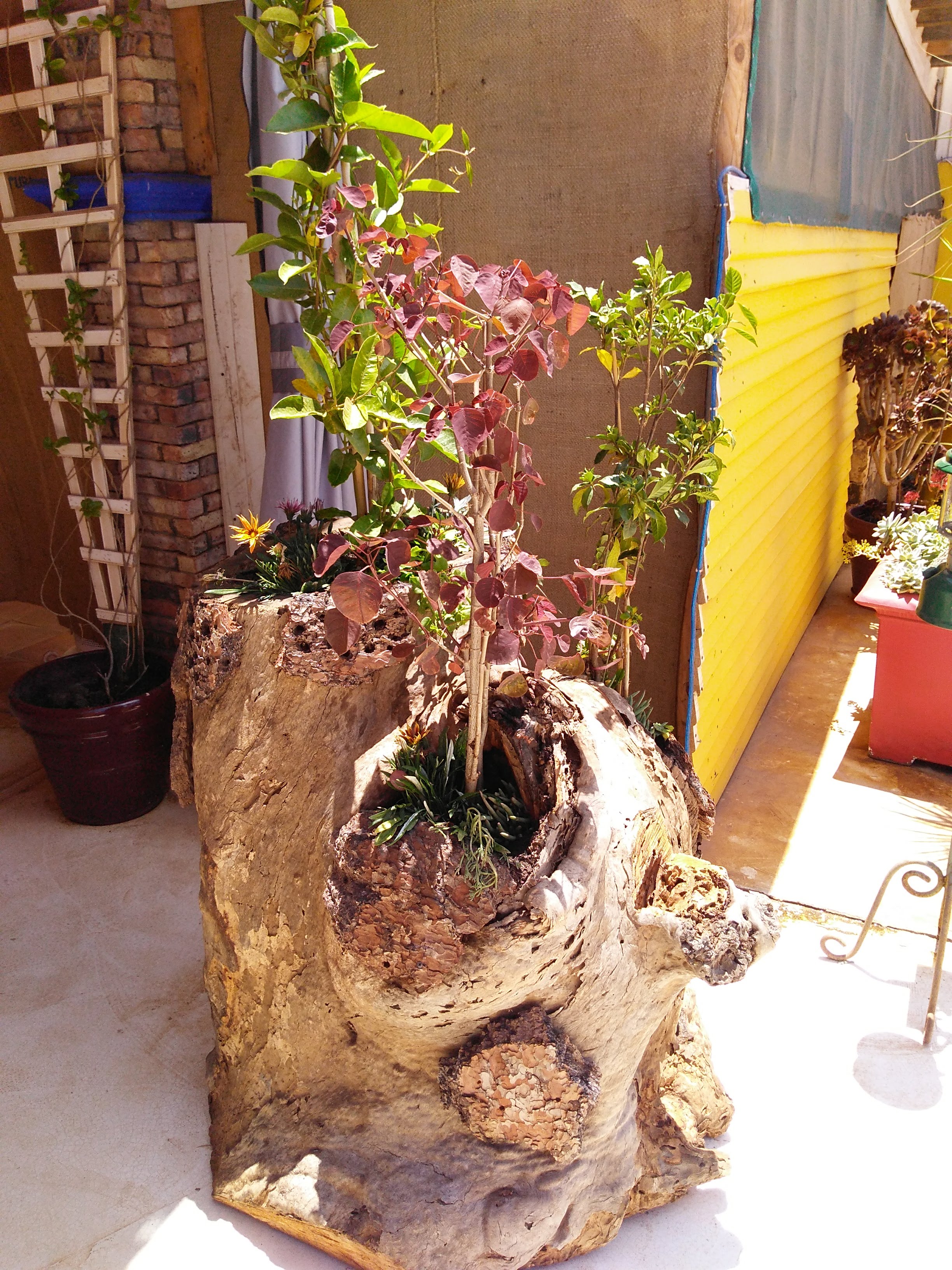 Prieto's Pizza image 7