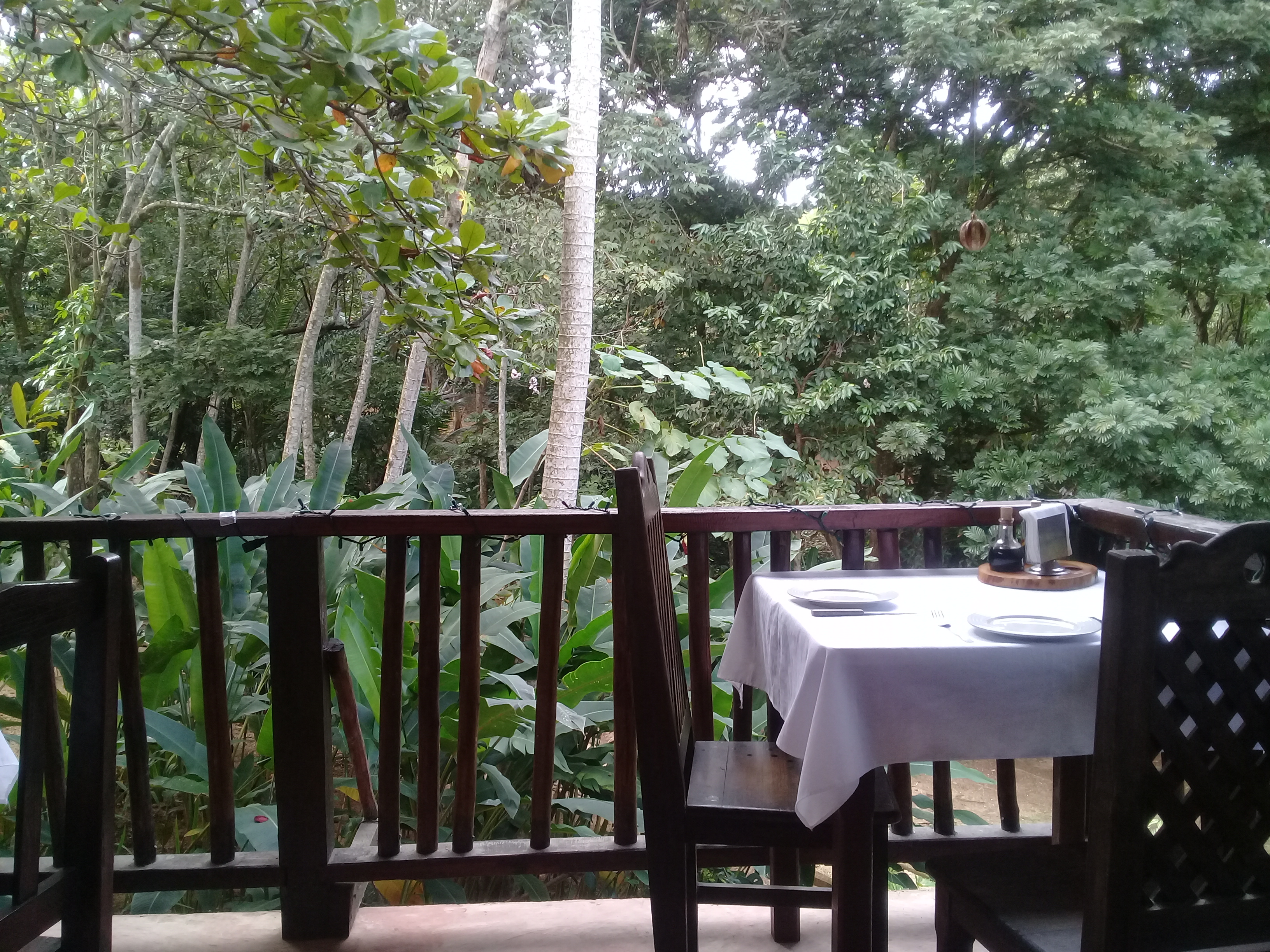 Monte Verde Trattoria Pizzeria image 1