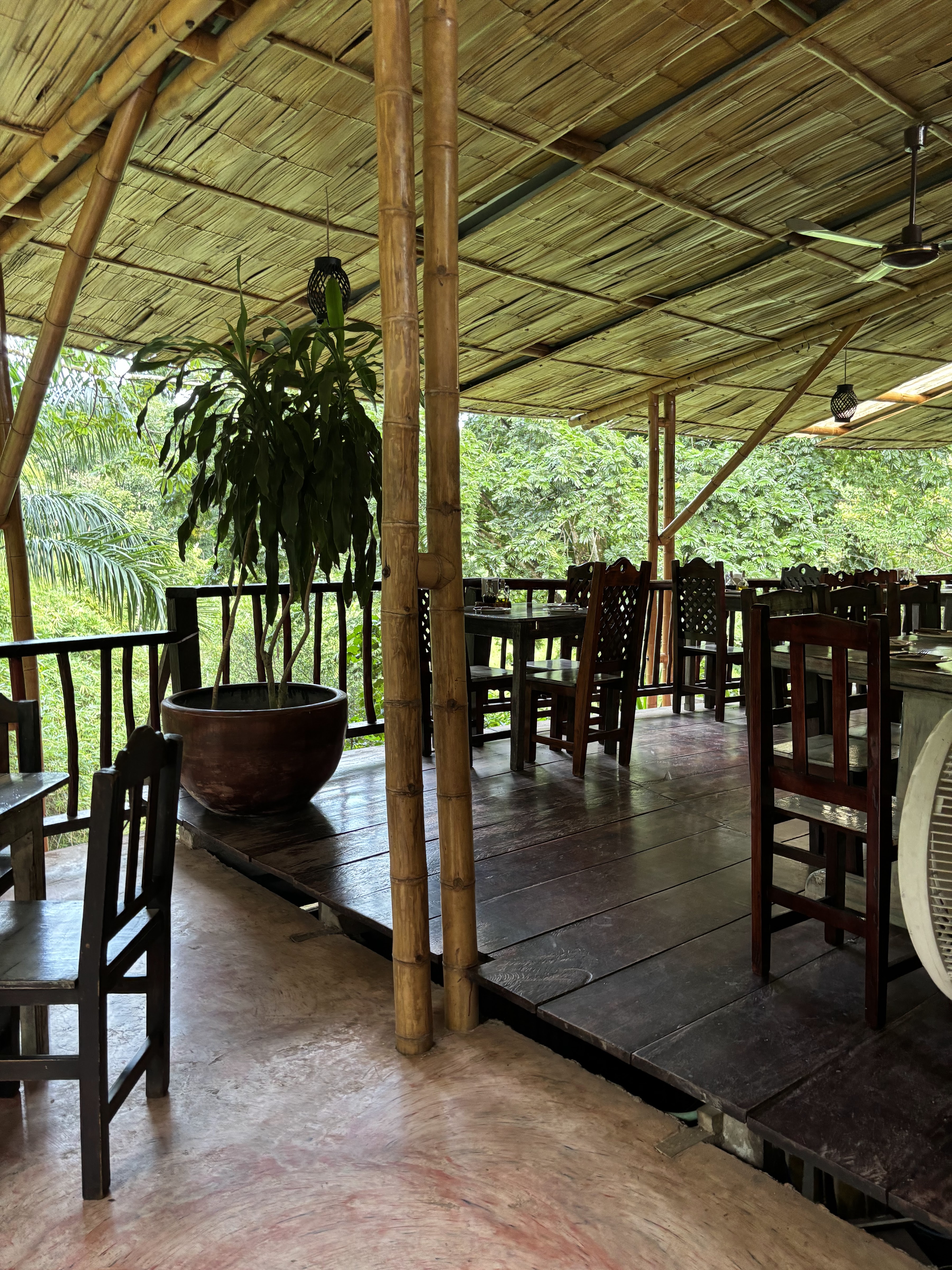 Monte Verde Trattoria Pizzeria image 4