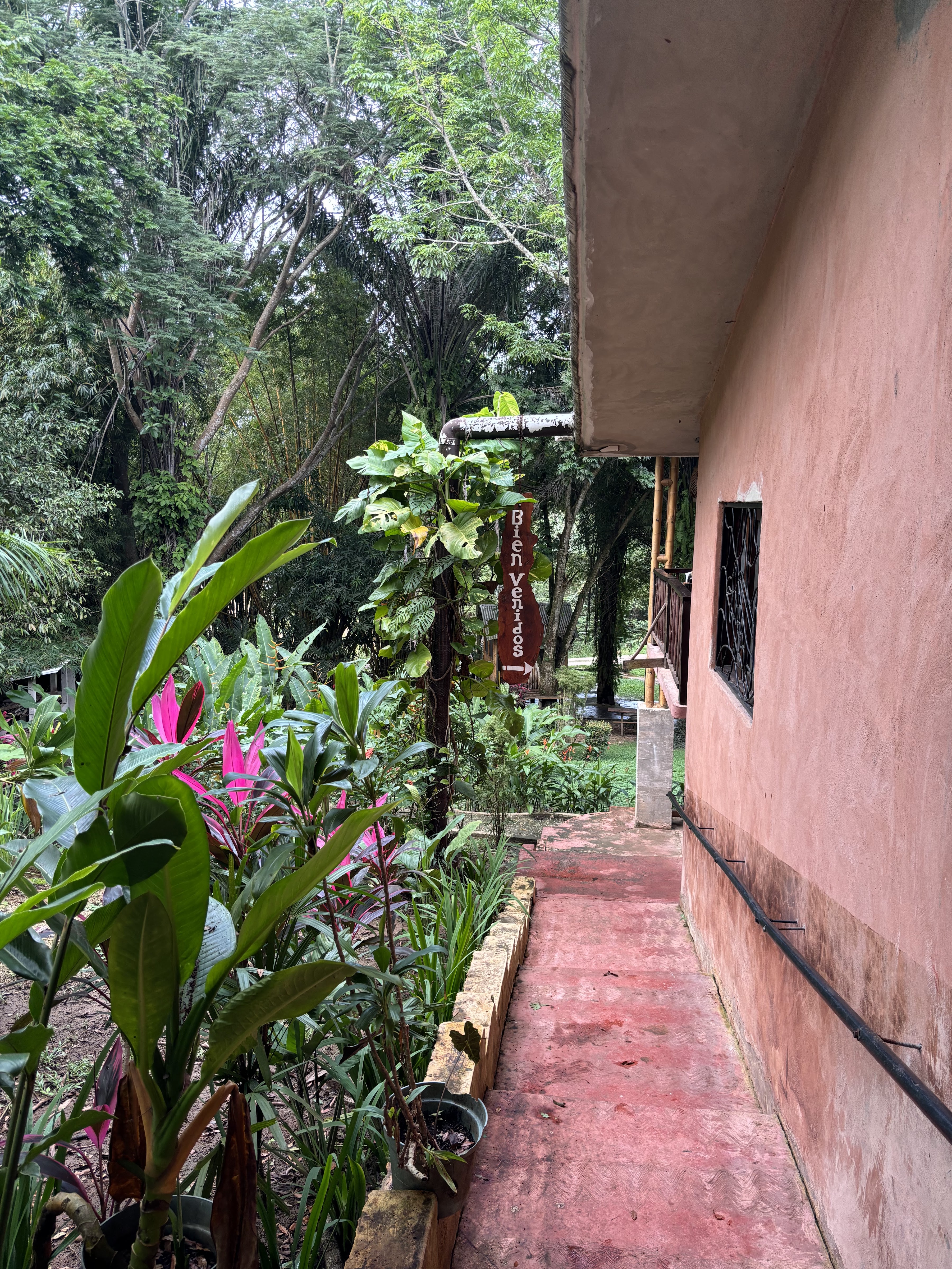 Monte Verde Trattoria Pizzeria image 5