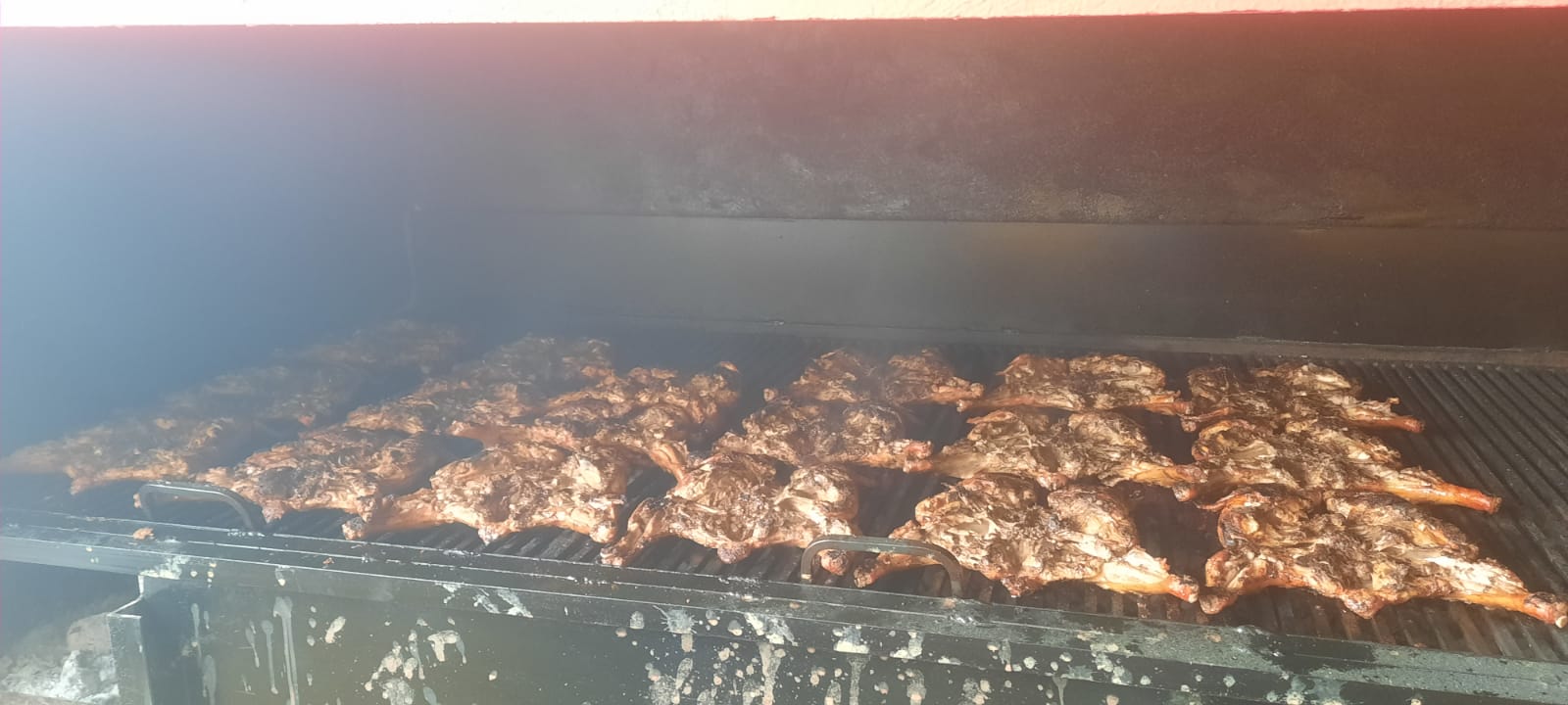 MI POLLITO LOCO image 4