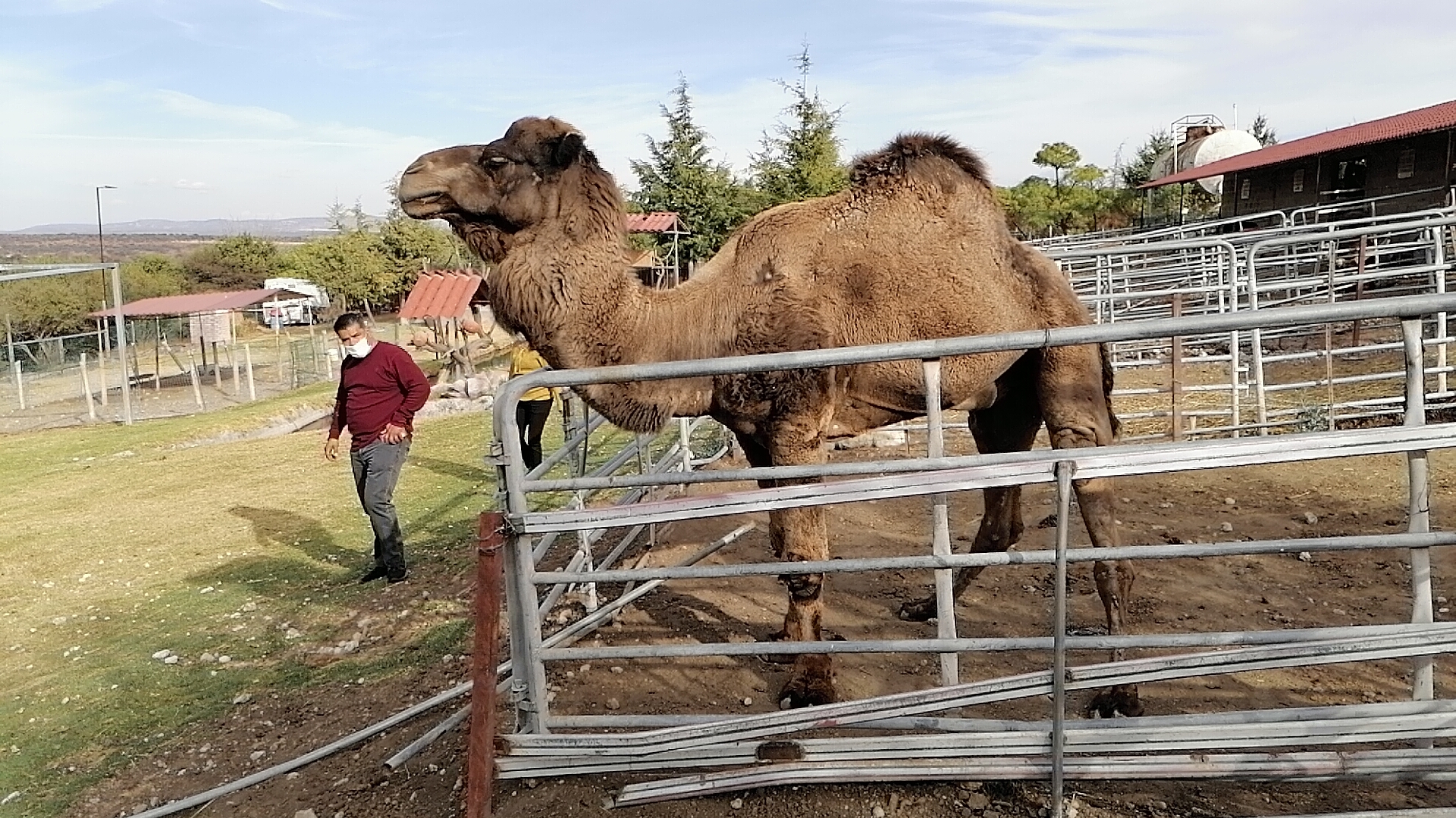 Bioparque La Cueva image 5