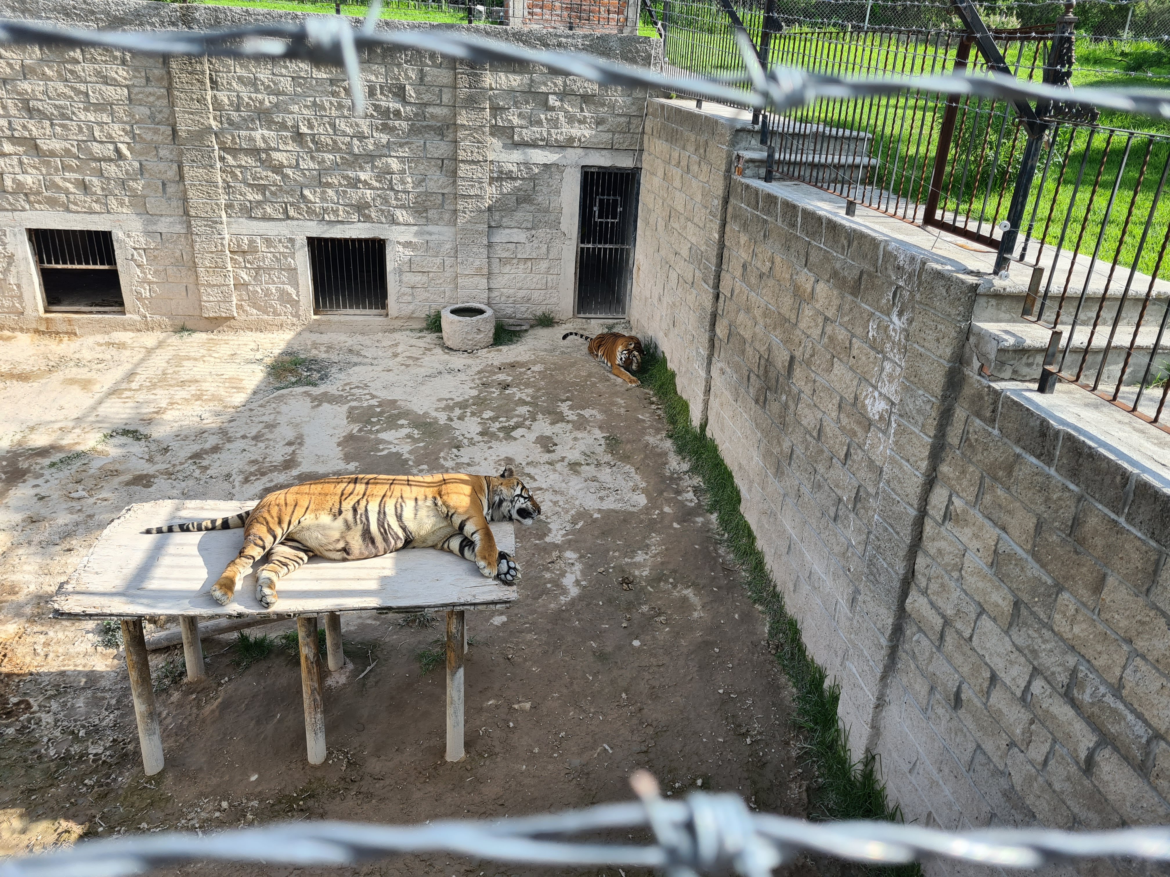 Bioparque La Cueva image 6