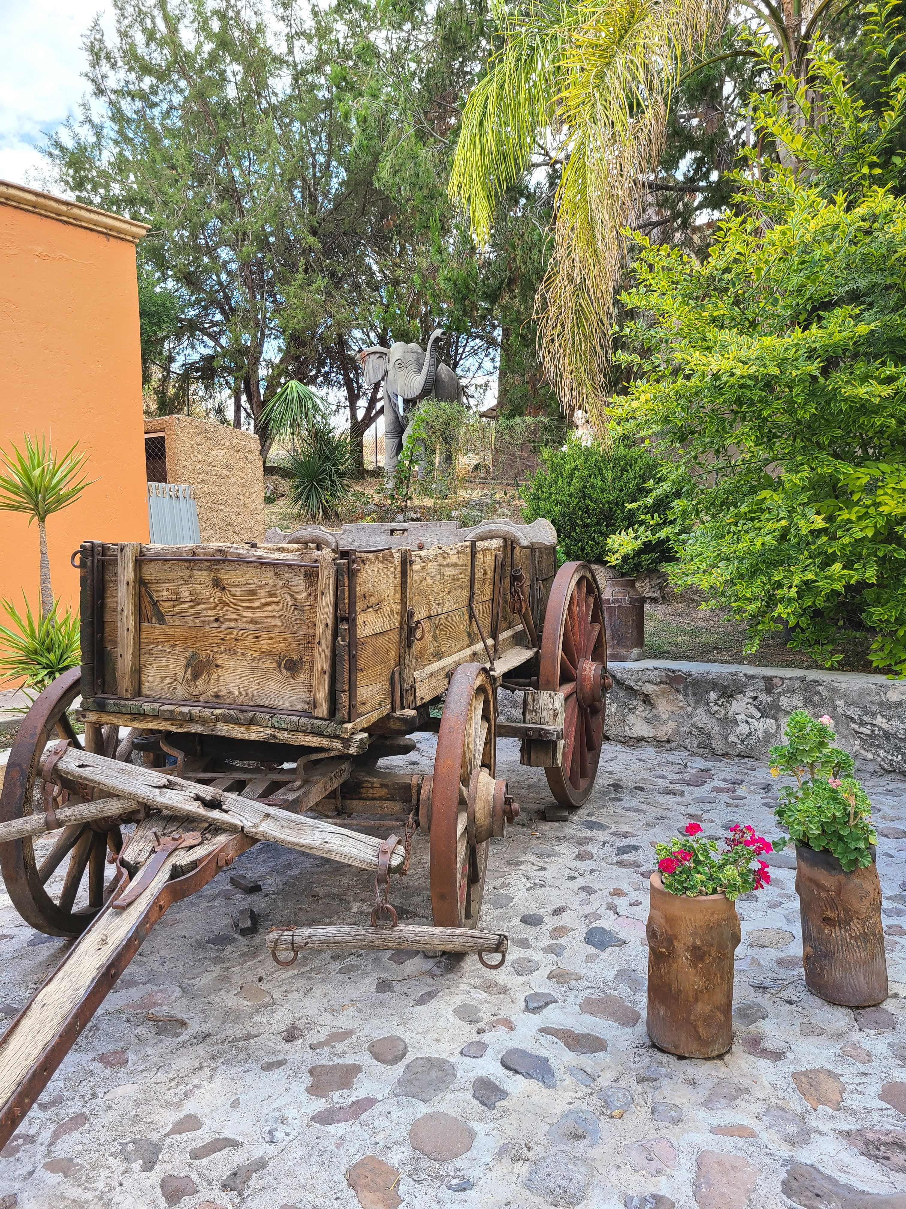 Bioparque La Cueva image 7